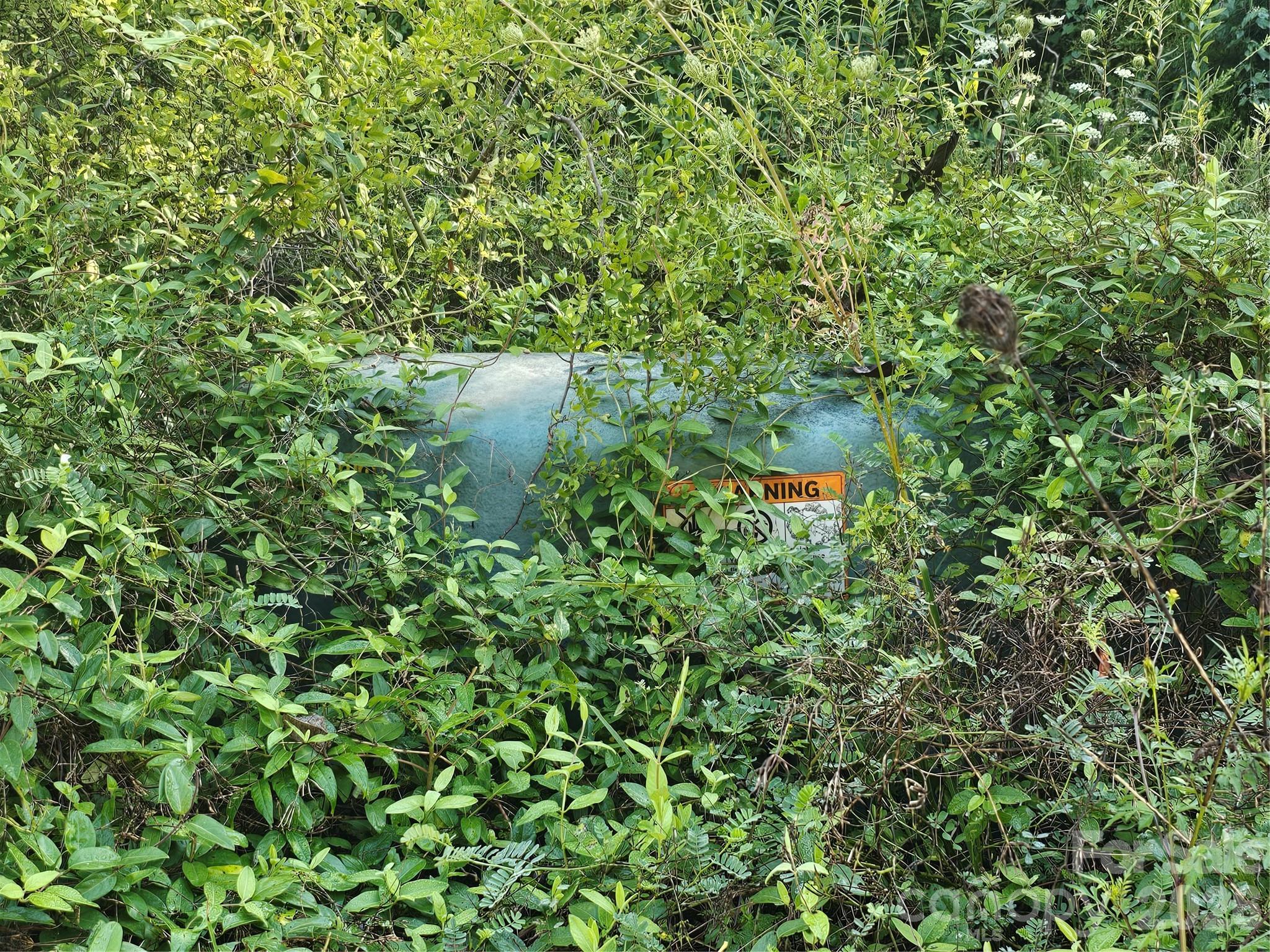 97 Destination Drive Property Photo 38