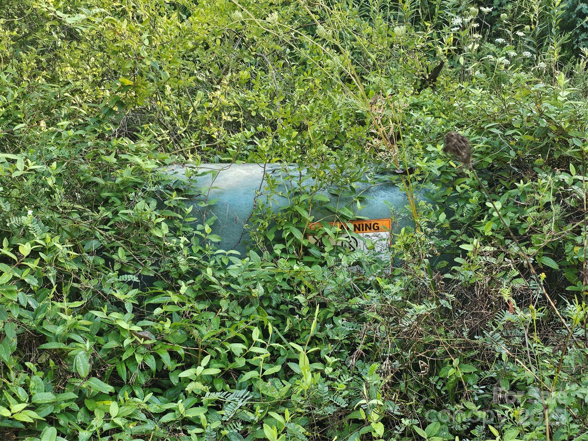 97 Destination Drive Property Photo 40