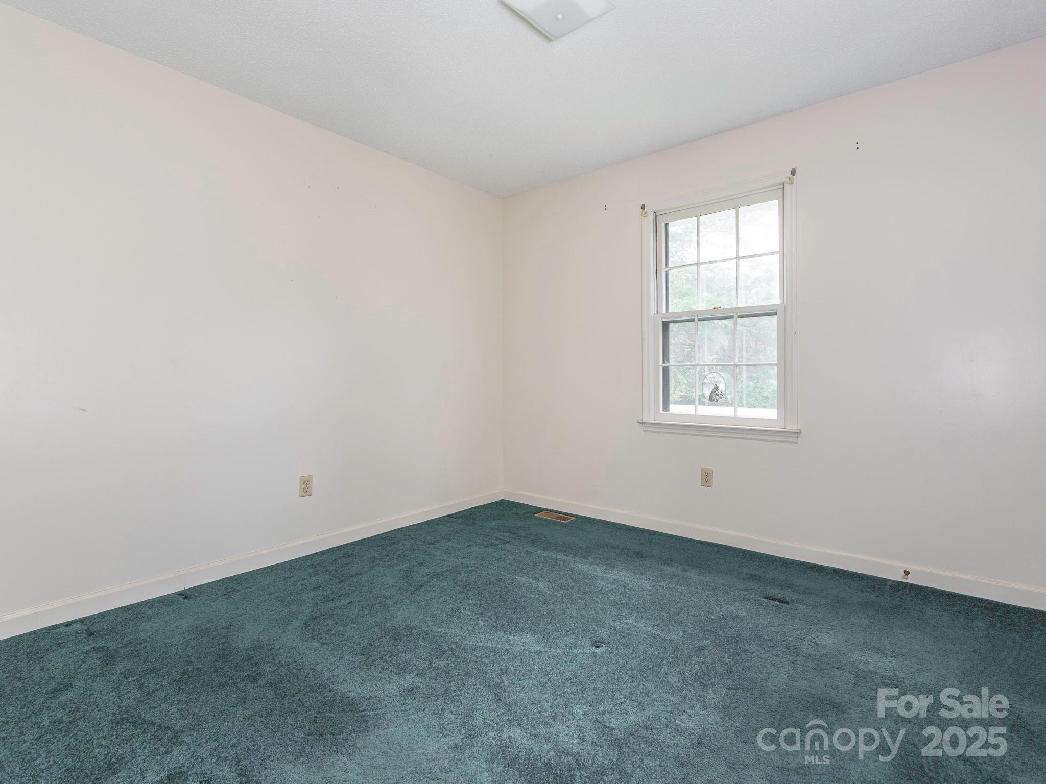 2321 Green Peach Road Property Photo 45