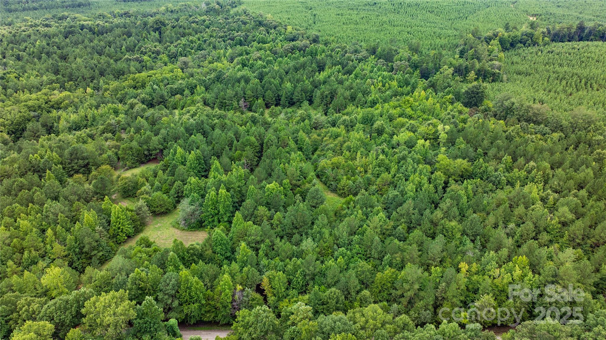 000 Daystar Road 13 Property Photo 3