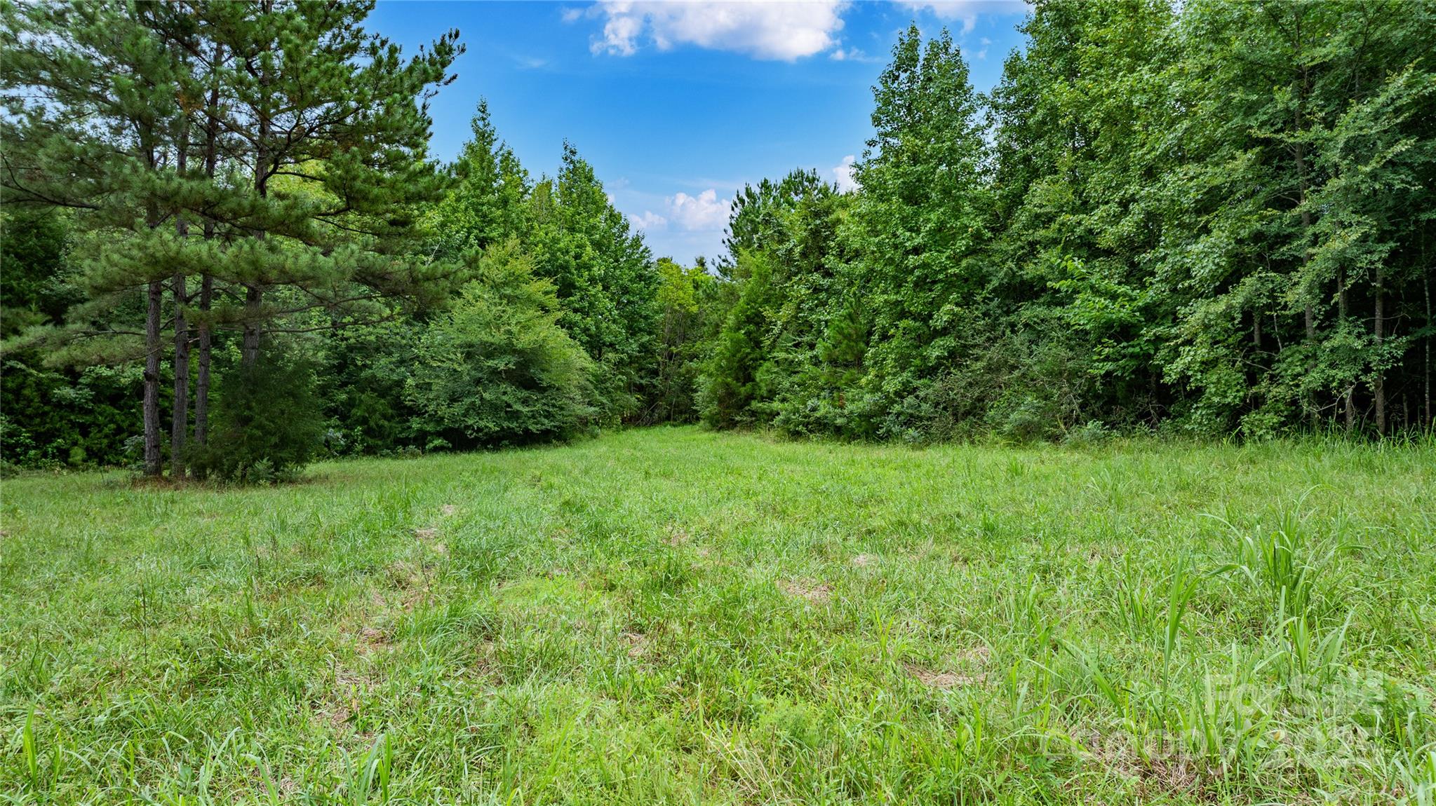 000 Daystar Road 13 Property Photo 4