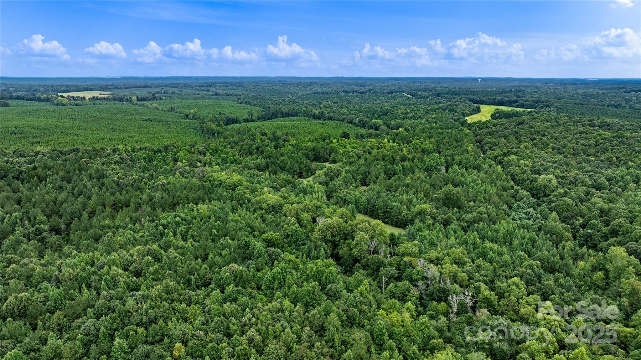 000 Daystar Road 13 Property Photo 6