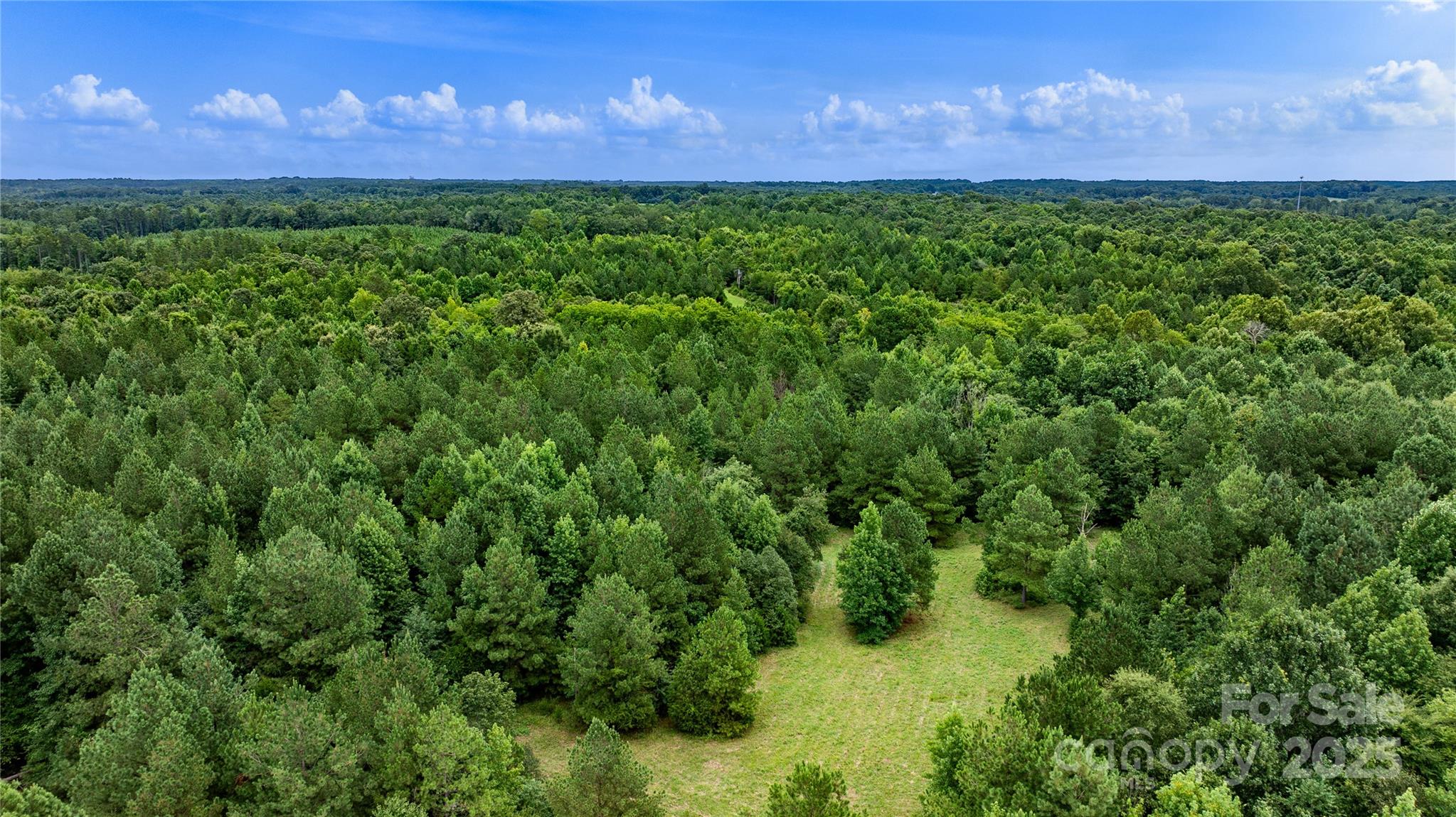 000 Daystar Road 13 Property Photo 8