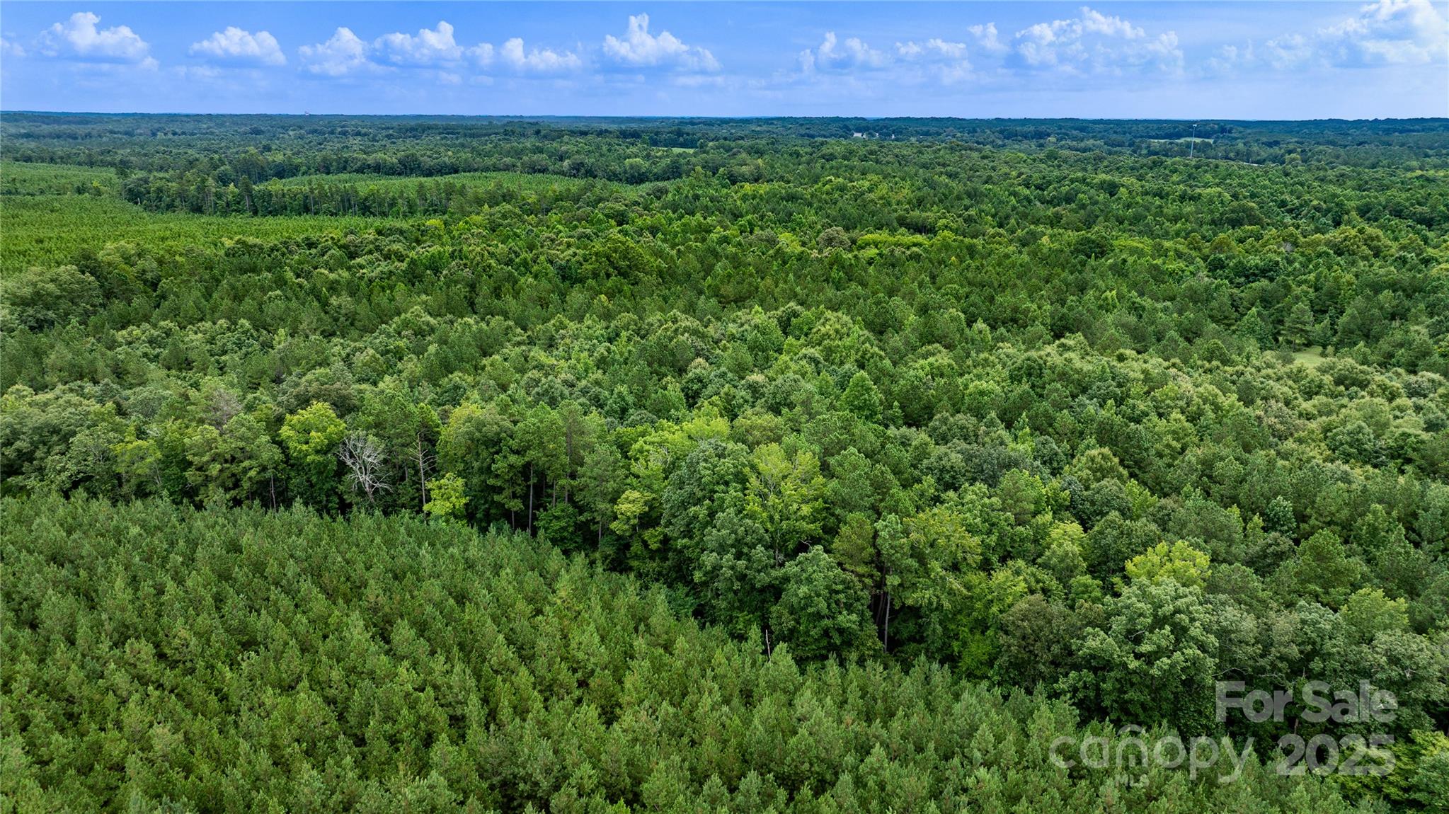 000 Daystar Road 13 Property Photo 9