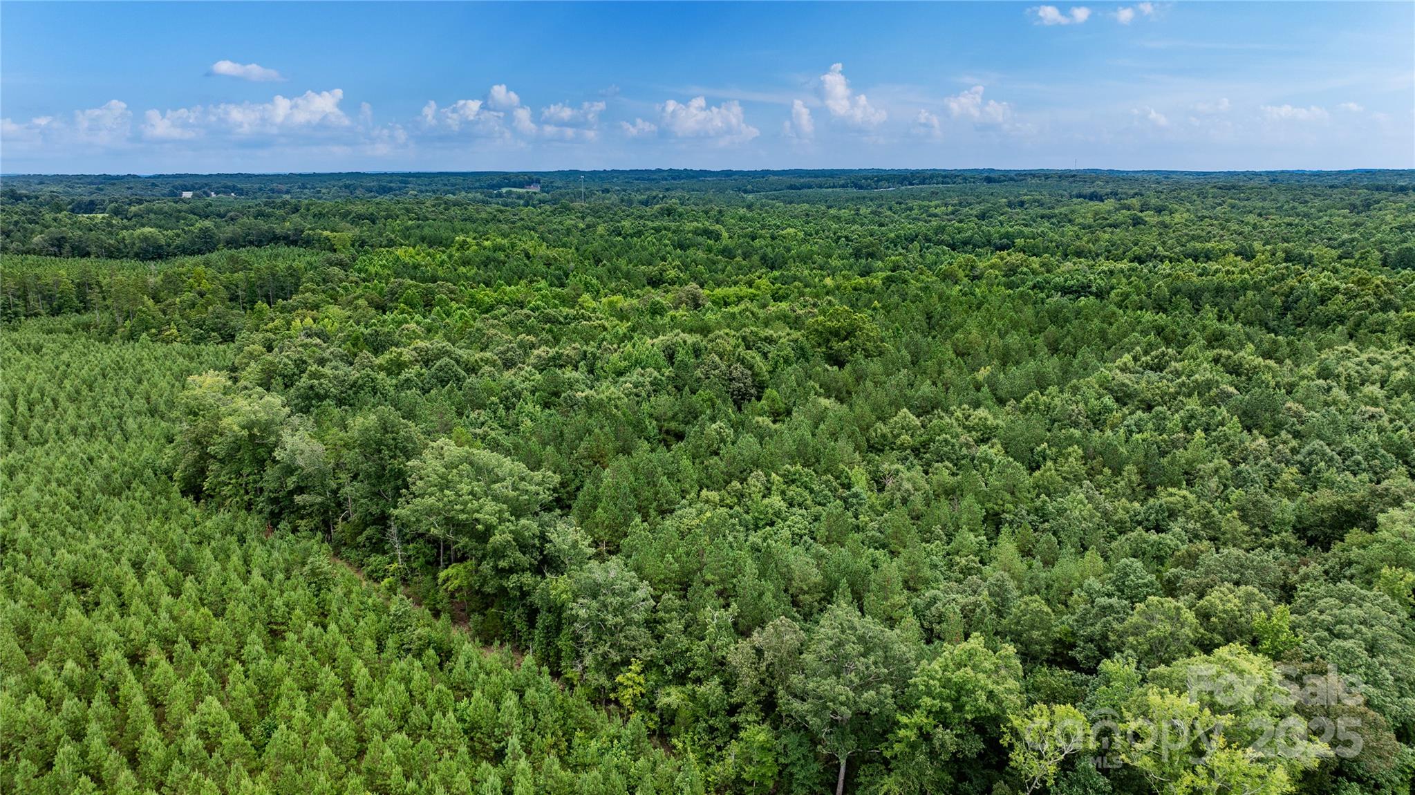 000 Daystar Road 13 Property Photo 12