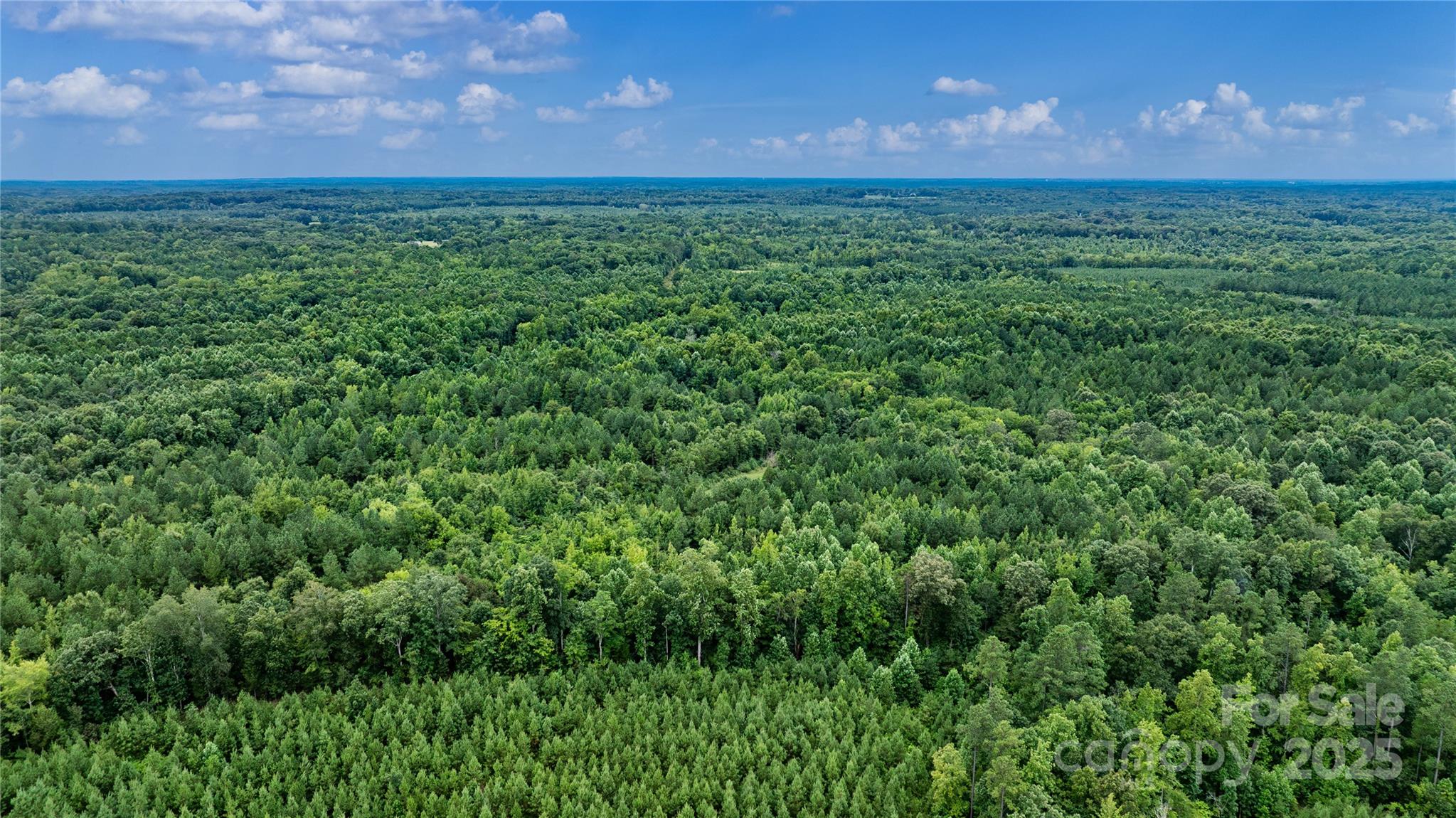 000 Daystar Road 13 Property Photo 14