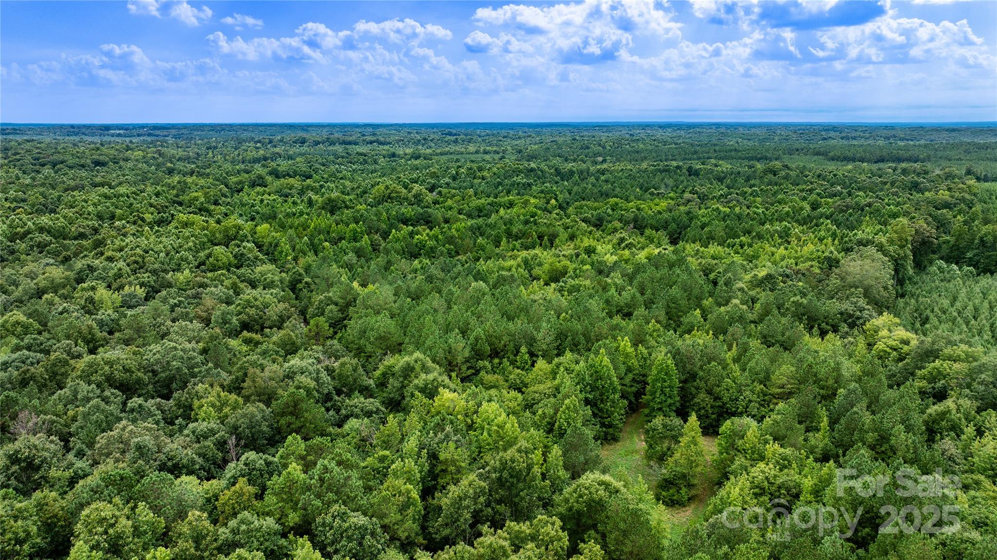 000 Daystar Road 13 Property Photo 17