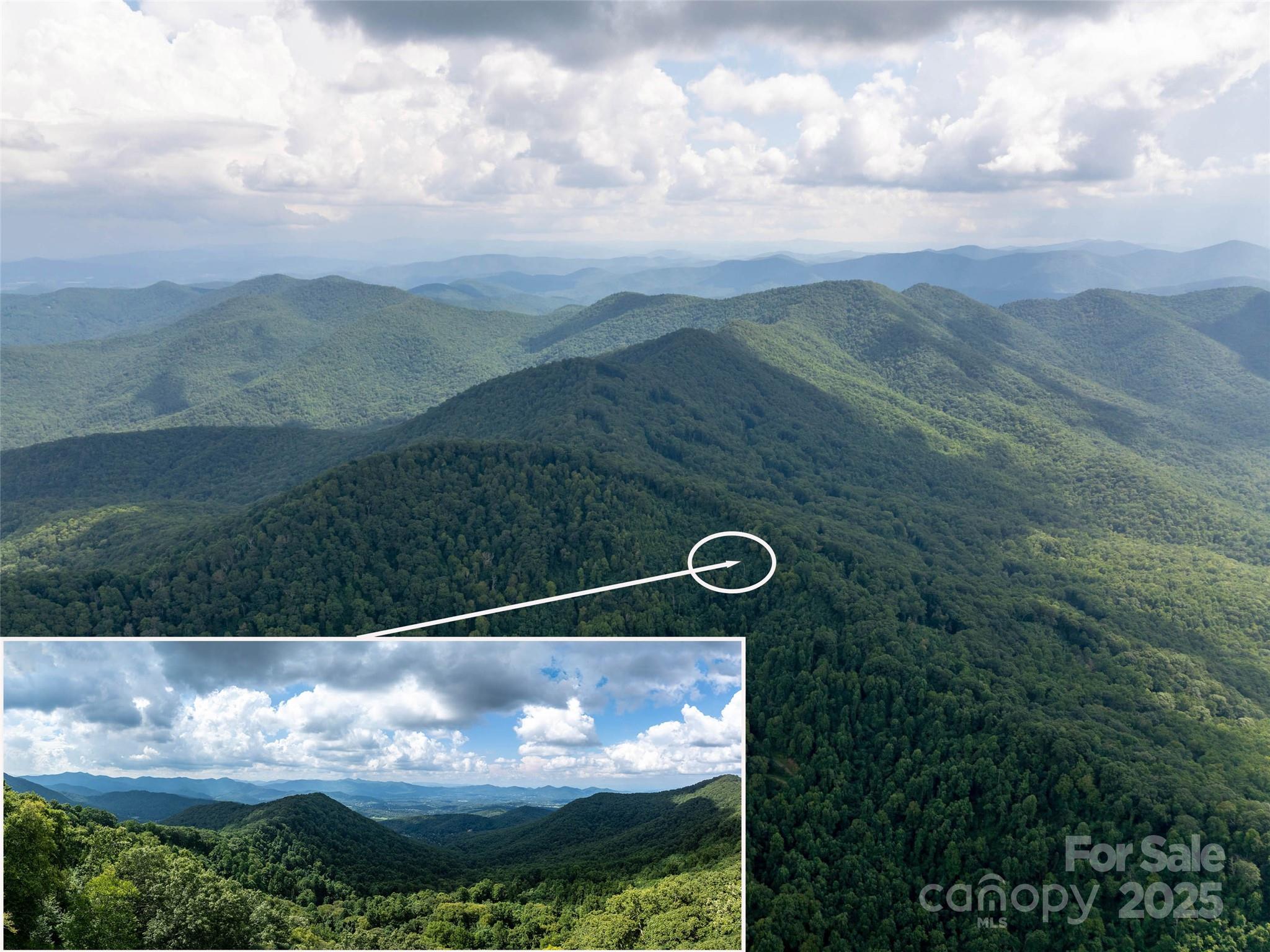 99999 Billy Cove Road Property Photo 3