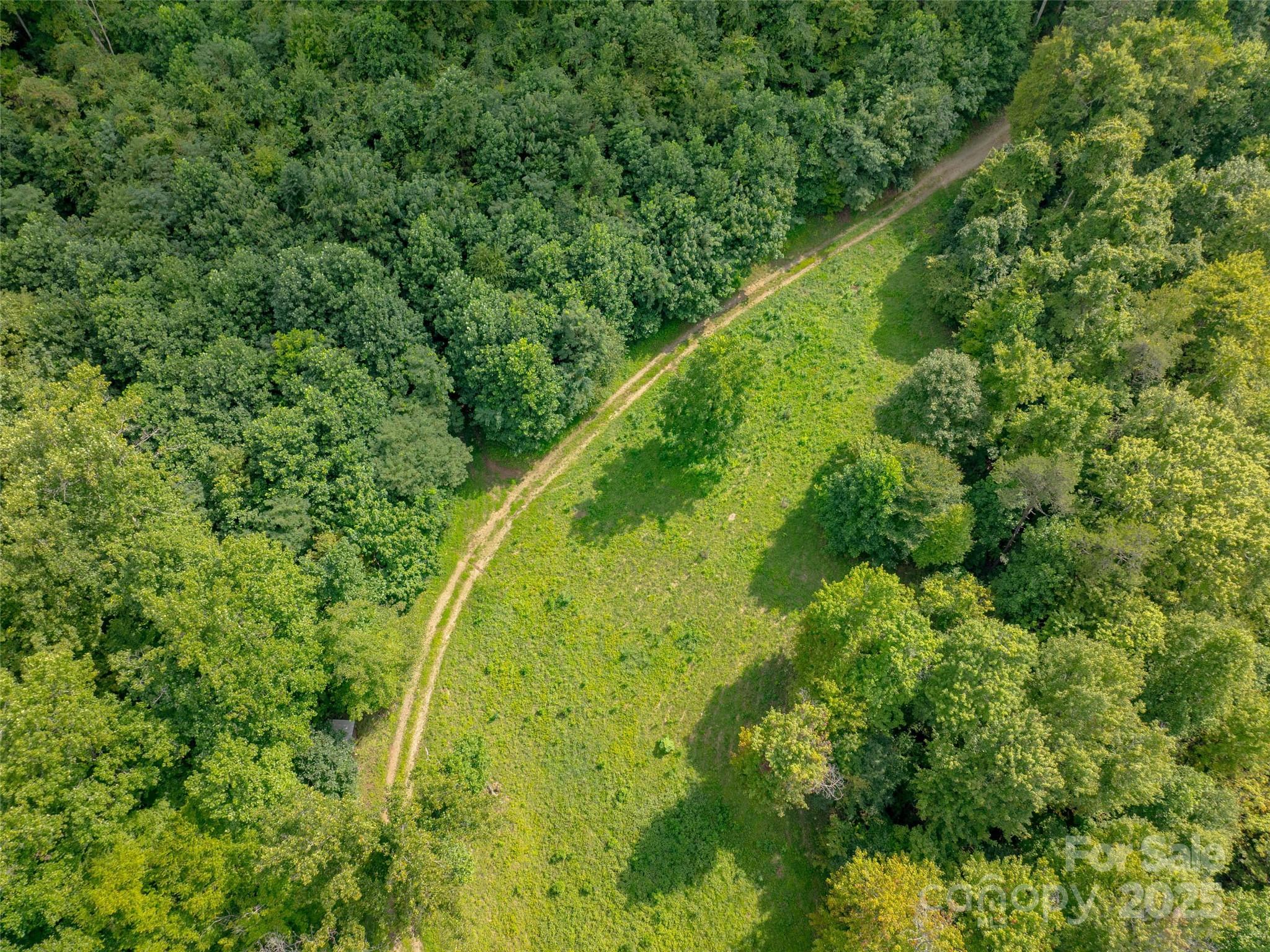 99999 Billy Cove Road Property Photo 6