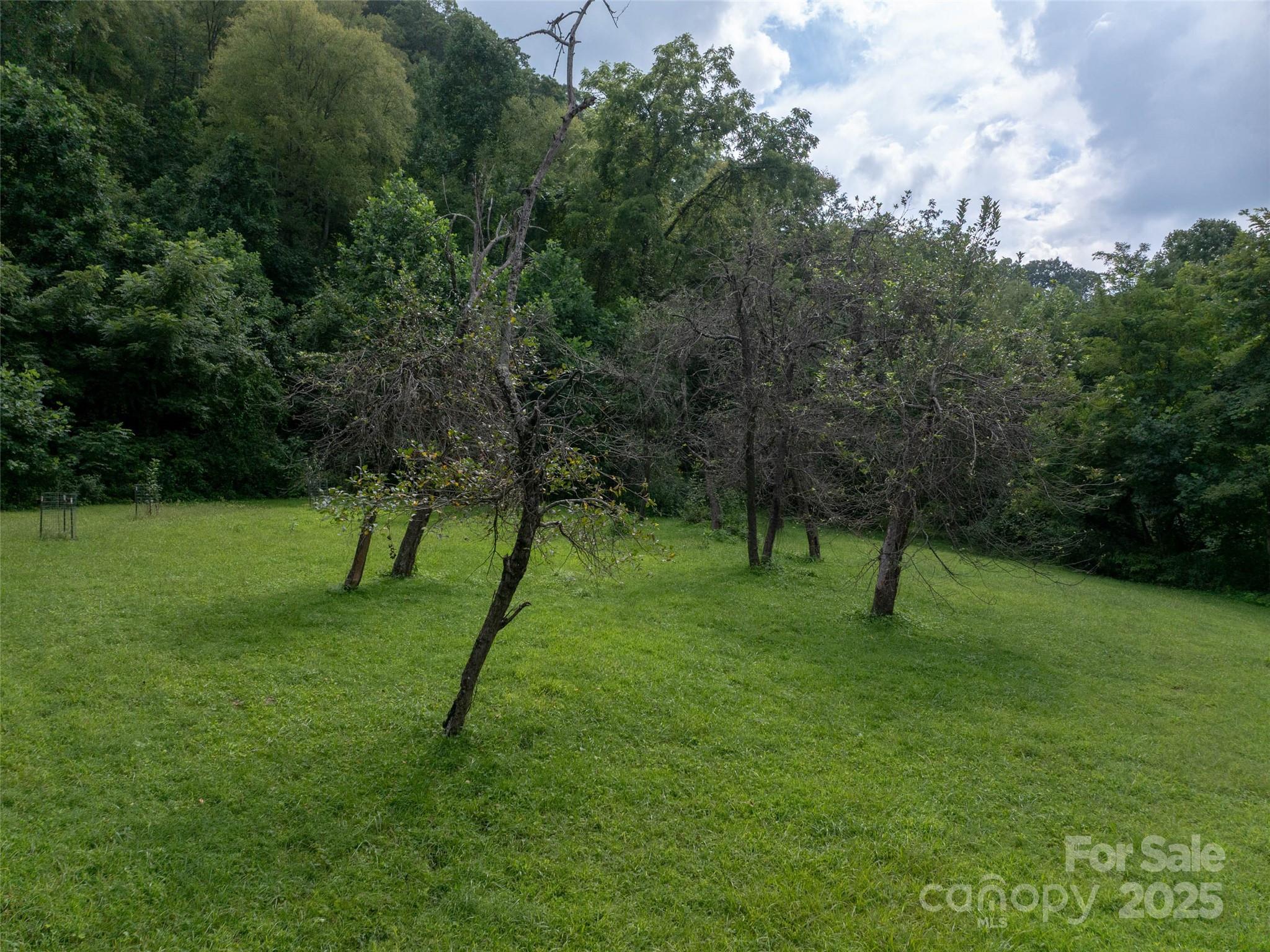 99999 Billy Cove Road Property Photo 19