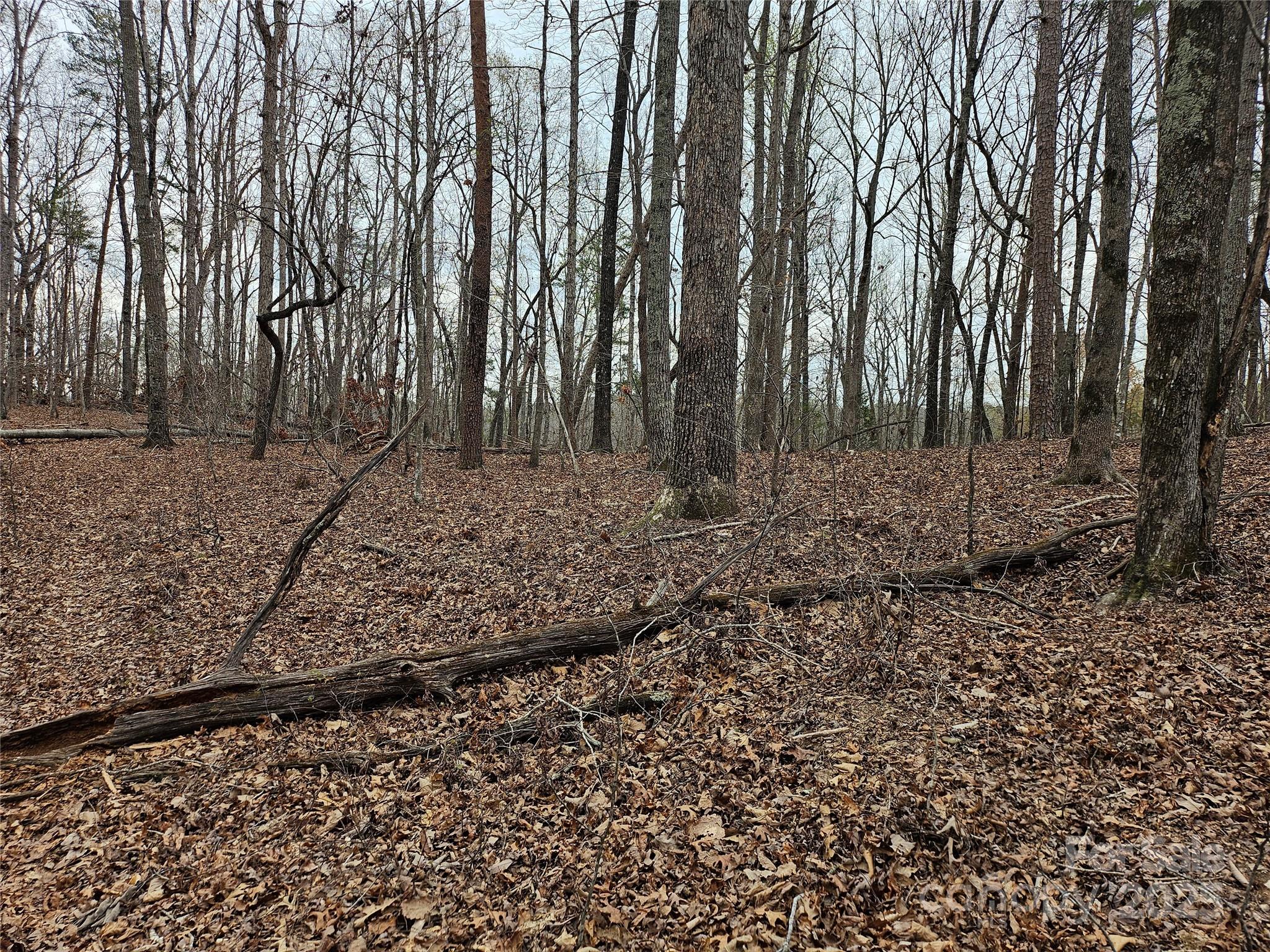 000 Weaver Mill Road Property Photo 1