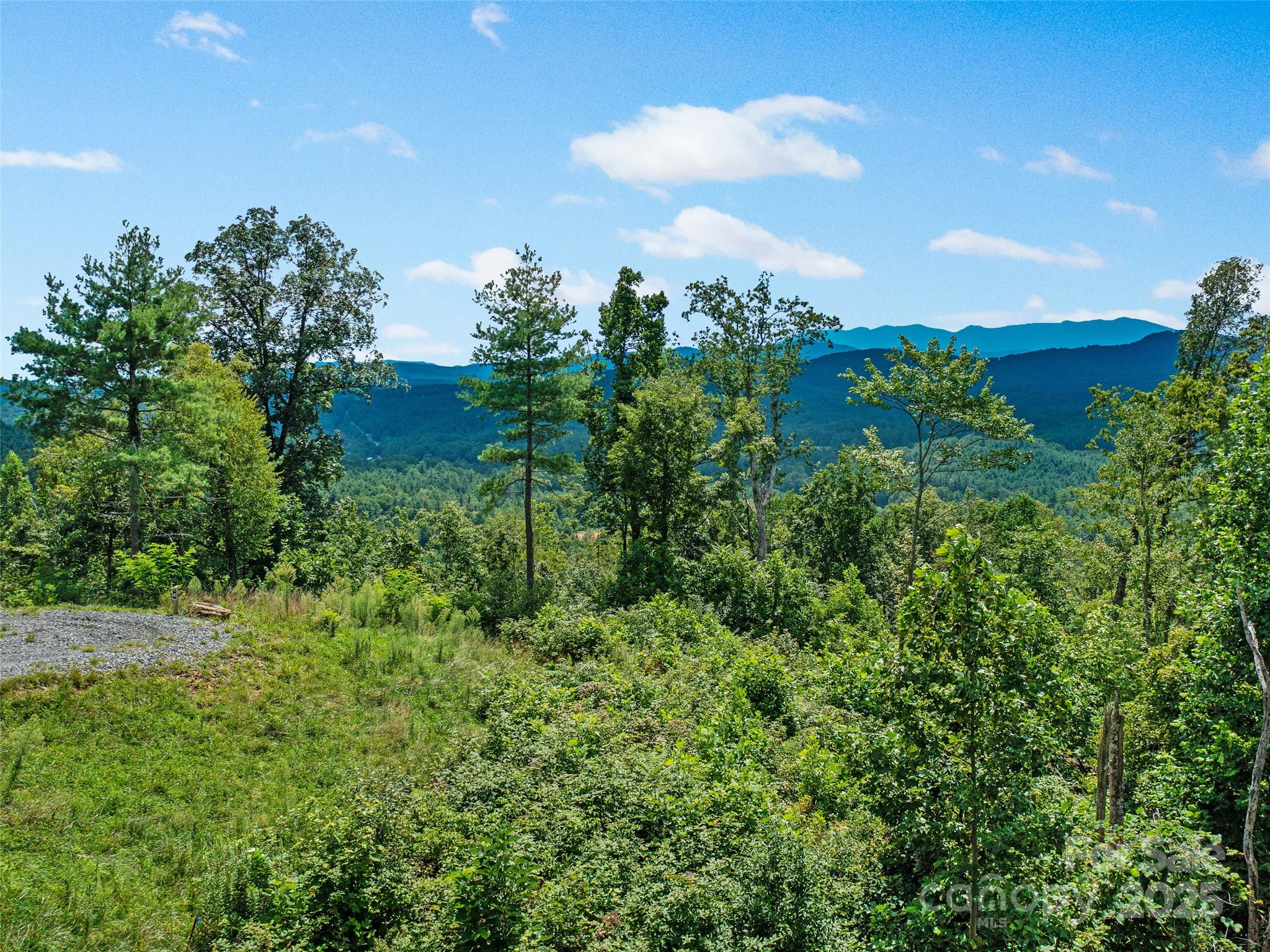 0 Summit View Parkway 42 Property Photo 15
