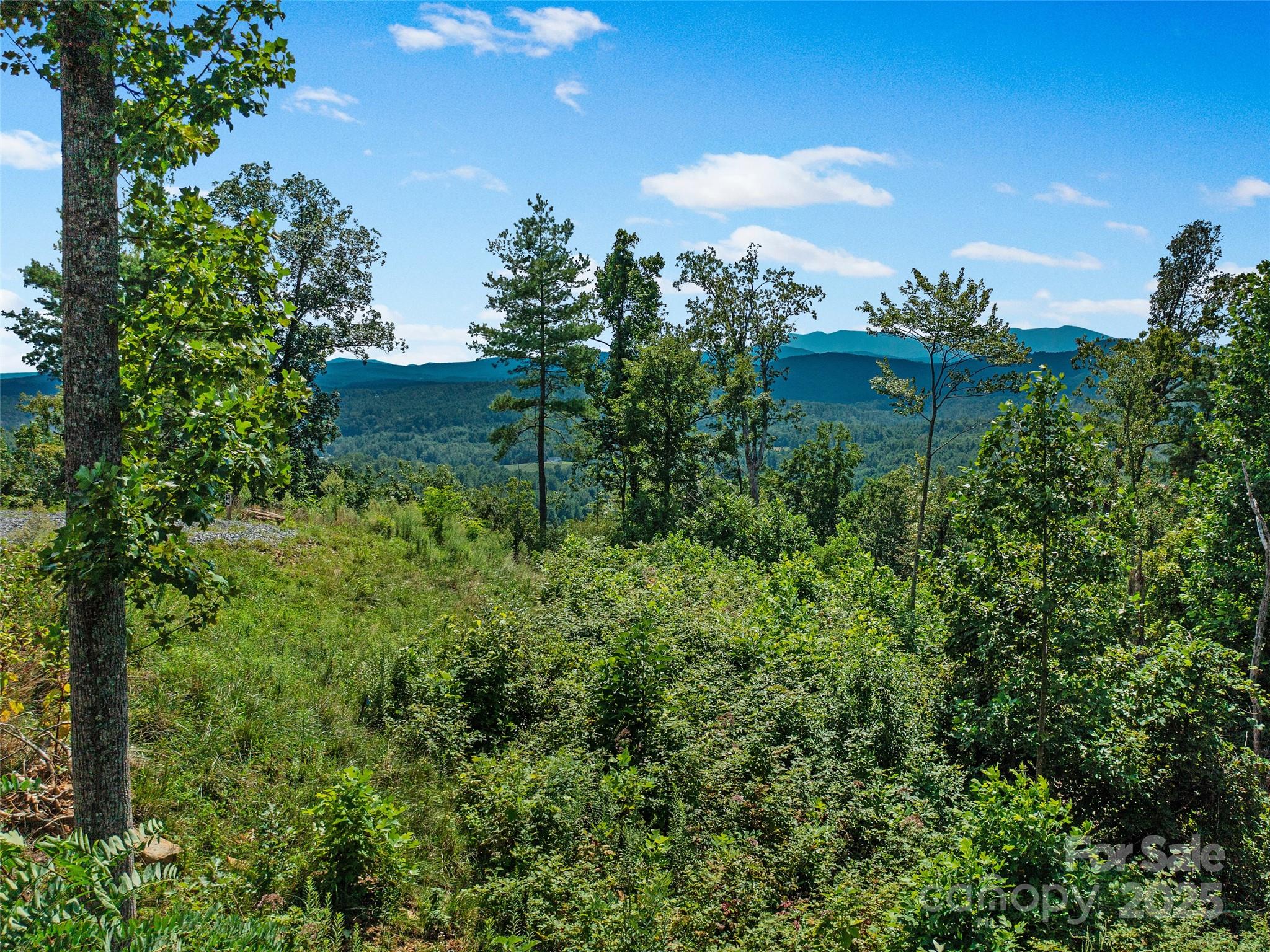 0 Summit View Parkway 42 Property Photo 36