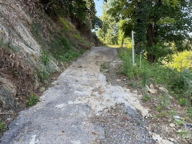 710 Cherokee Orchard Road Property Photo 8