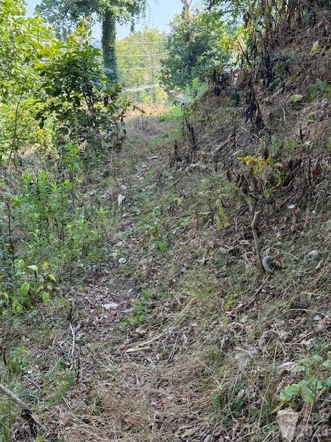 710 Cherokee Orchard Road Property Photo 12