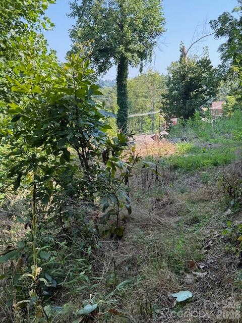 710 Cherokee Orchard Road Property Photo 13