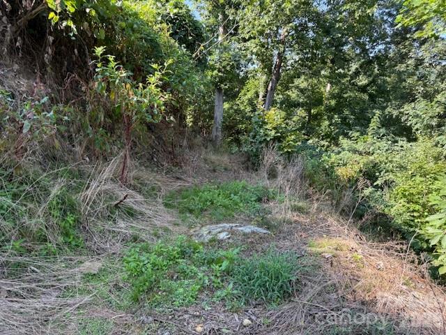 710 Cherokee Orchard Road Property Photo 22
