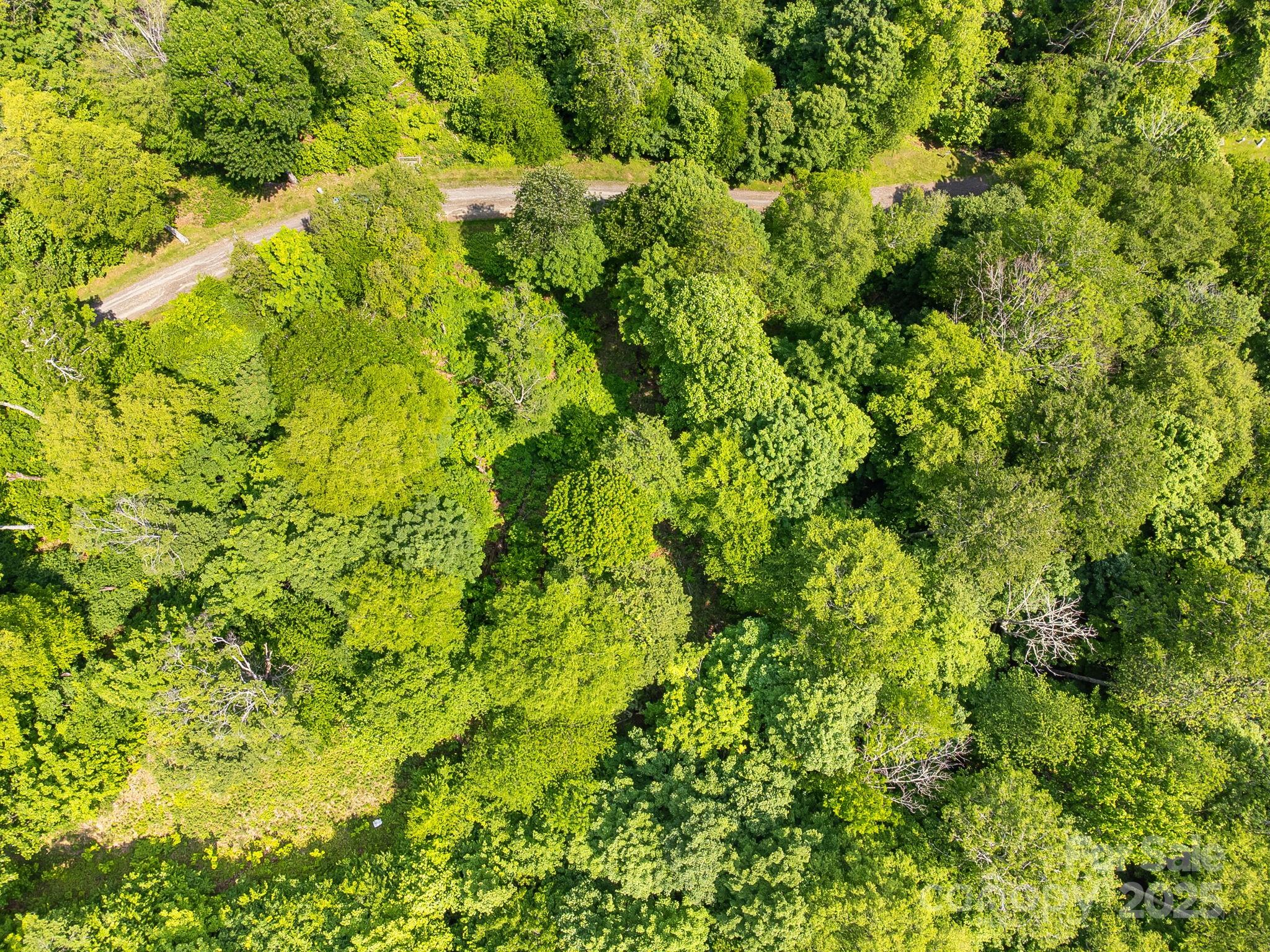 1617 Mountain Gait Drive 16 & 17 Property Photo 16