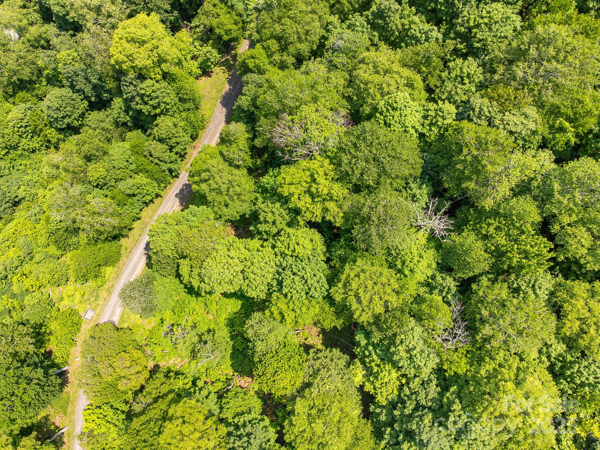 1617 Mountain Gait Drive 16 & 17 Property Photo 17