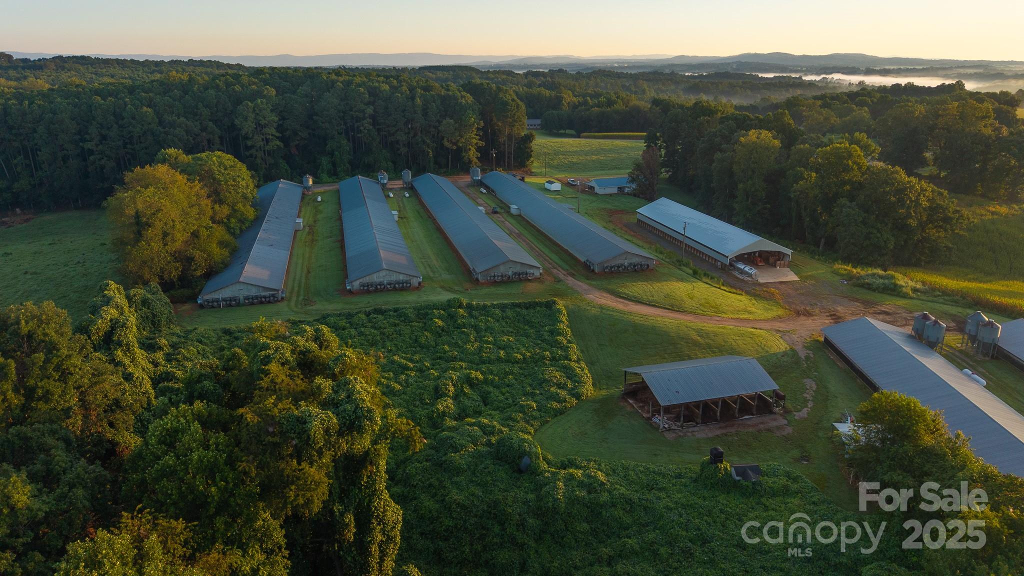 167 Buck Hollow Trail Property Photo 8
