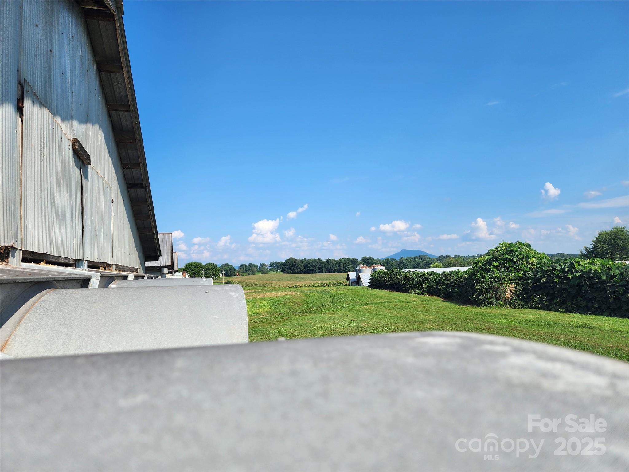 167 Buck Hollow Trail Property Photo 18
