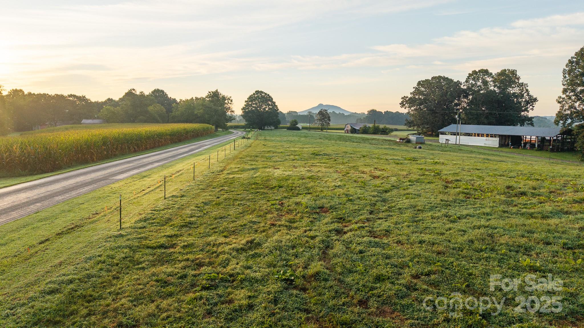 167 Buck Hollow Trail Property Photo 19