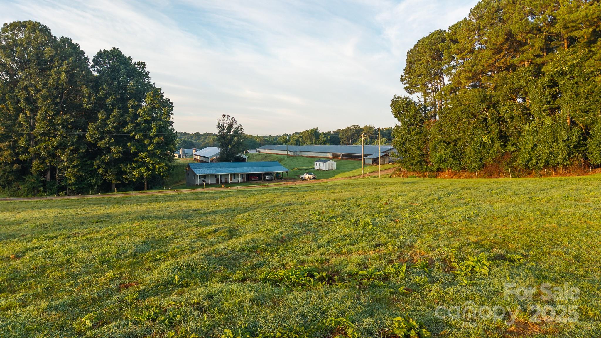 167 Buck Hollow Trail Property Photo 20
