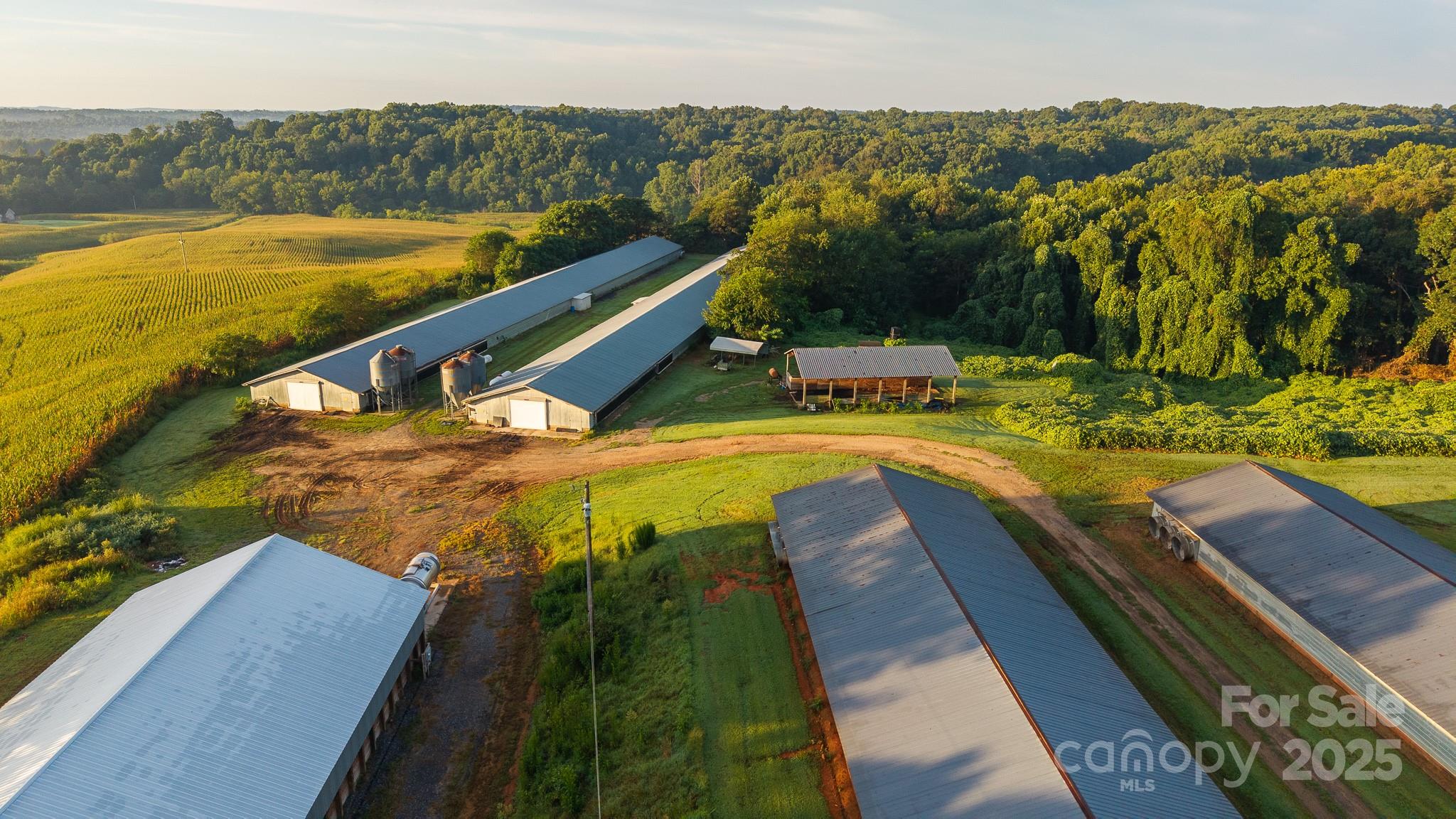 167 Buck Hollow Trail Property Photo 29
