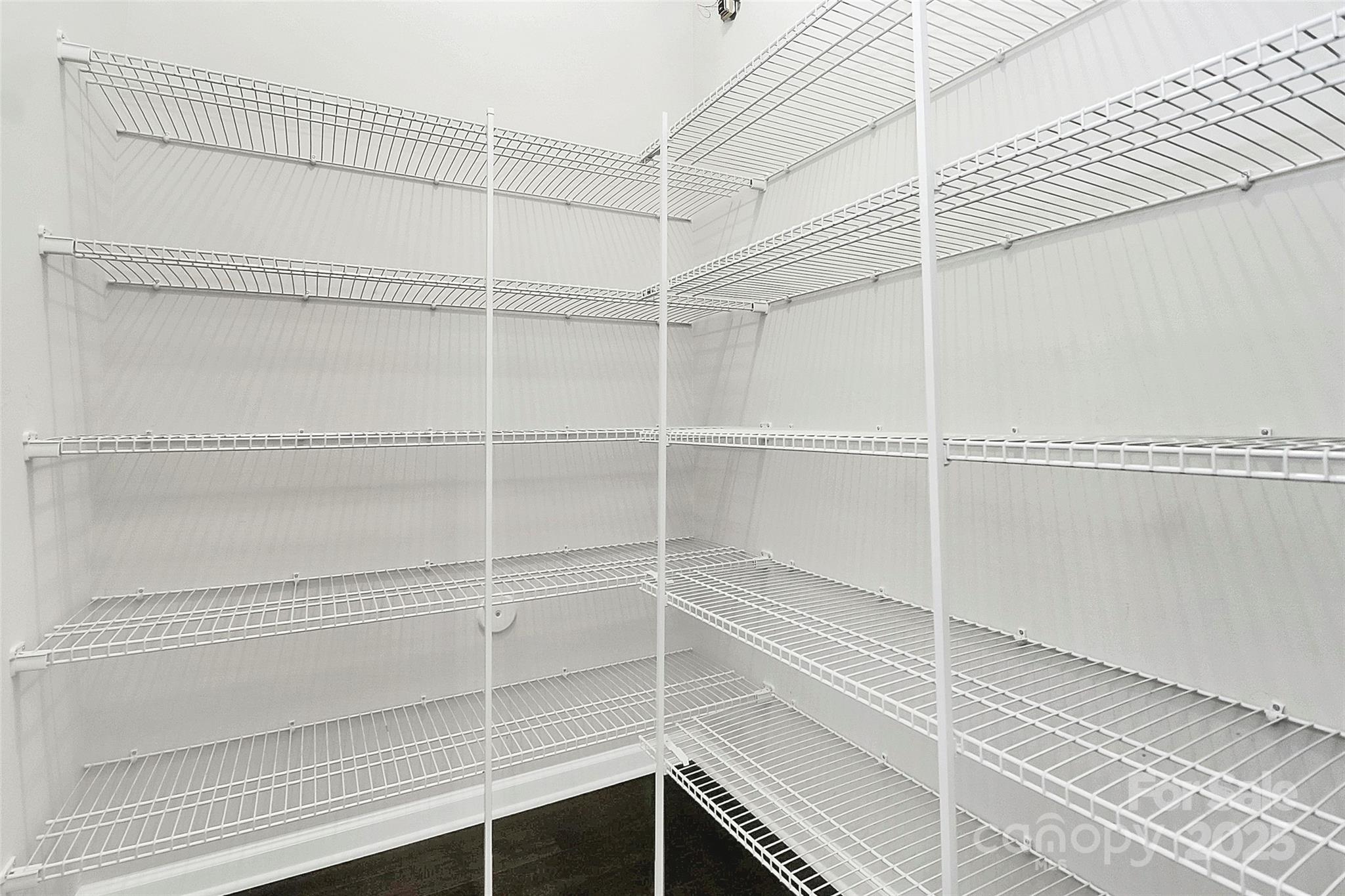 9604 Ainslie Downs Street Property Photo 15