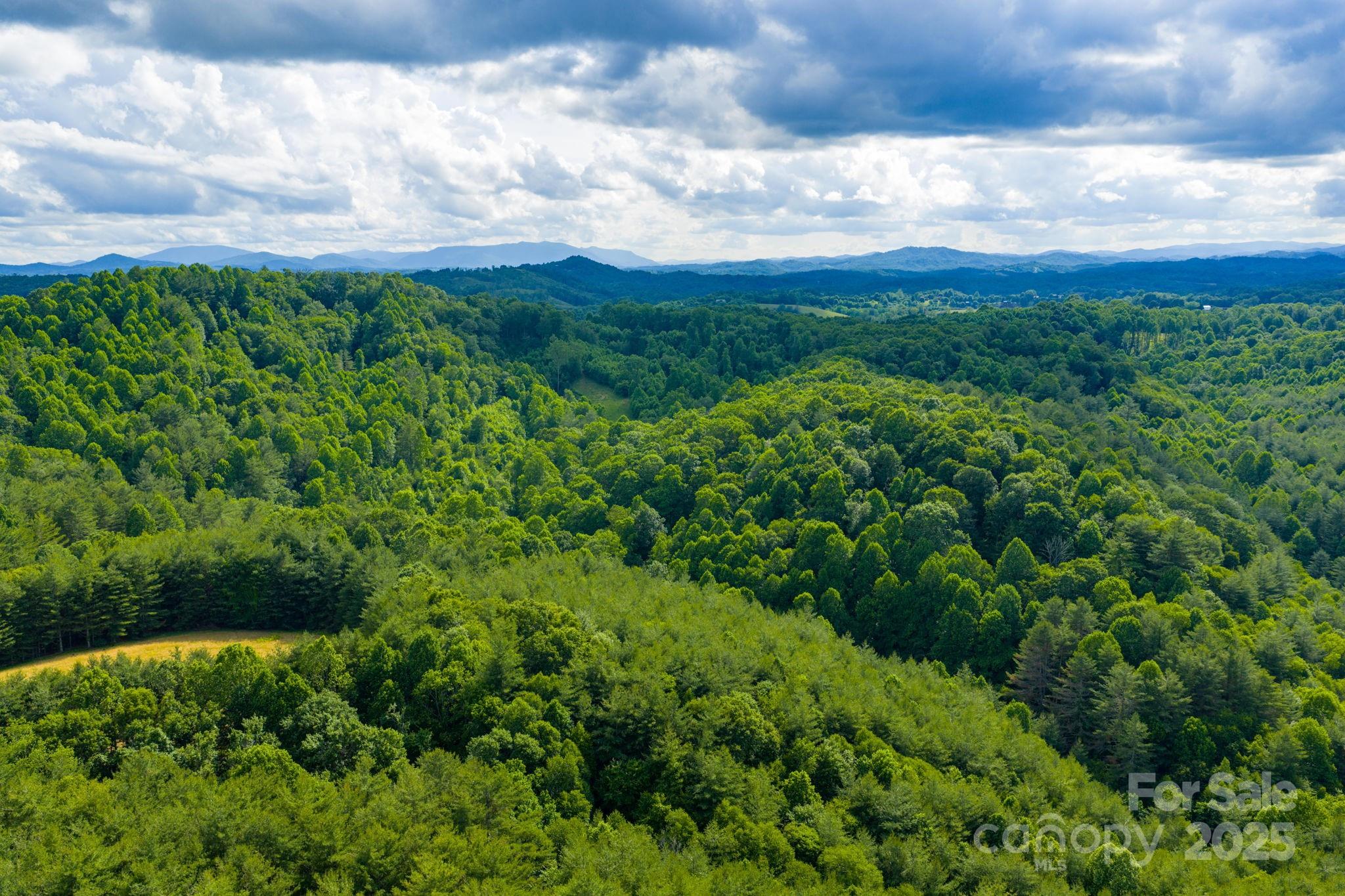 Tbd Phipps Dairy Road Property Photo 2