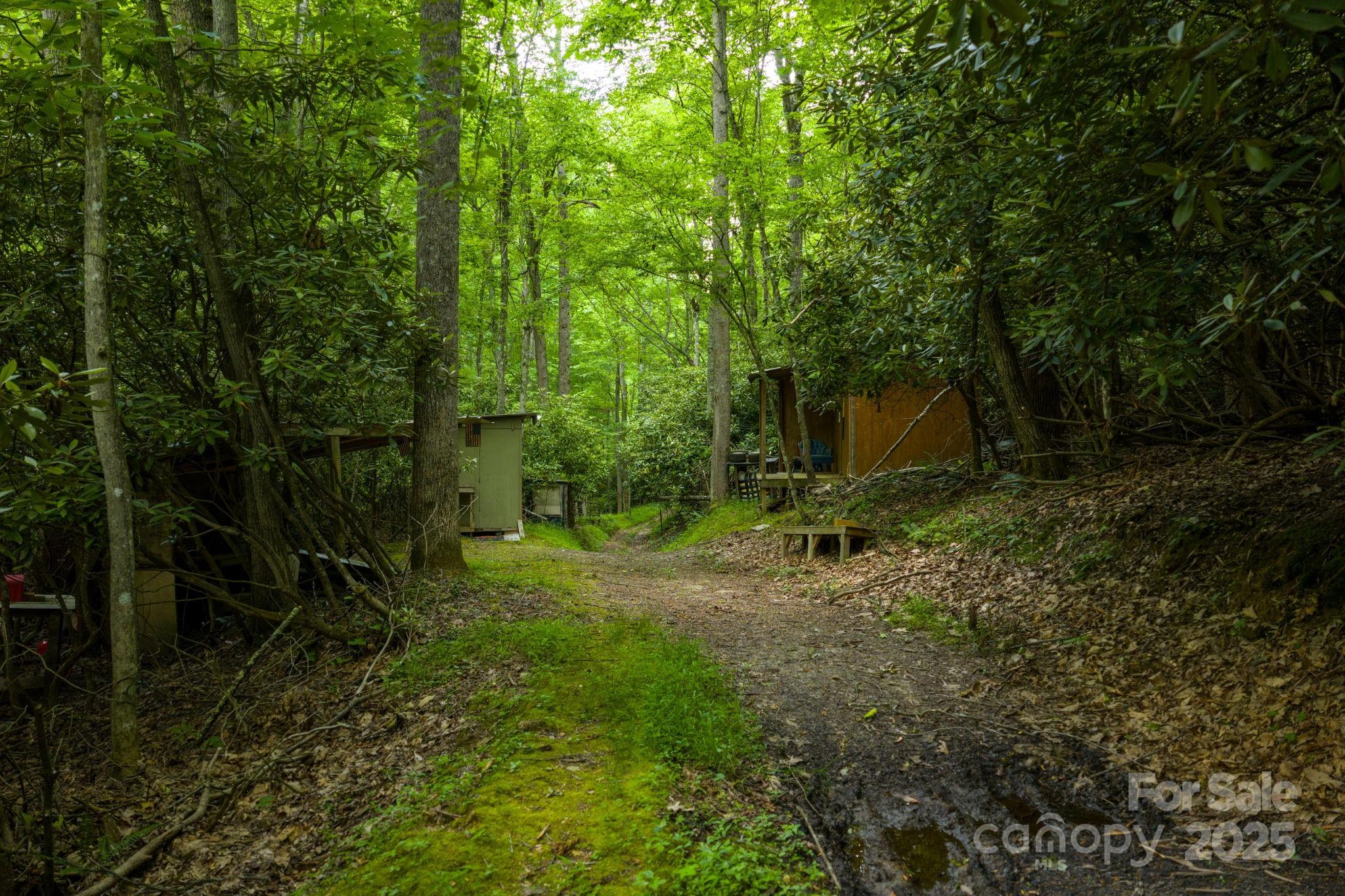 Tbd Phipps Dairy Road Property Photo 3