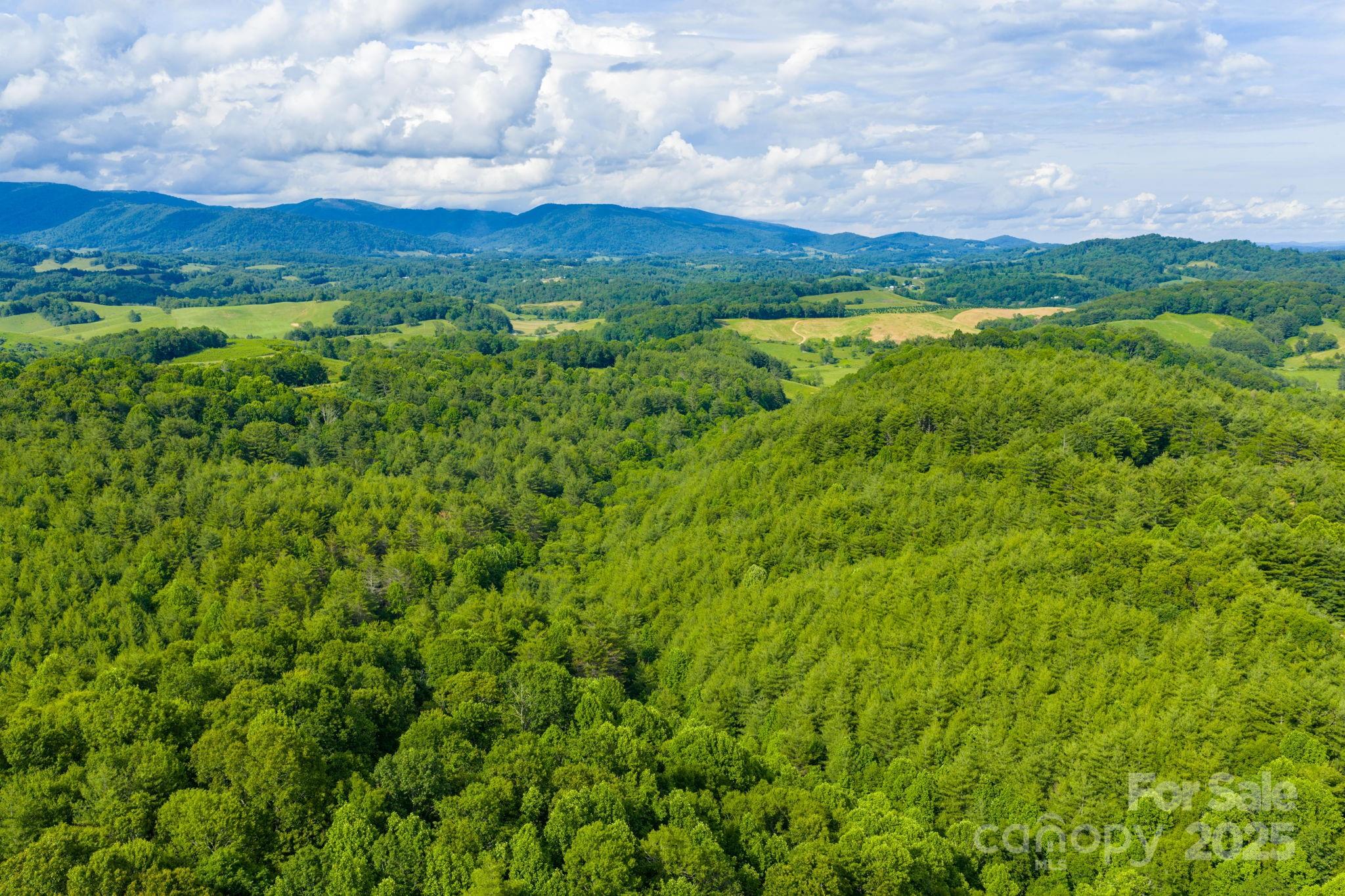Tbd Phipps Dairy Road Property Photo 4