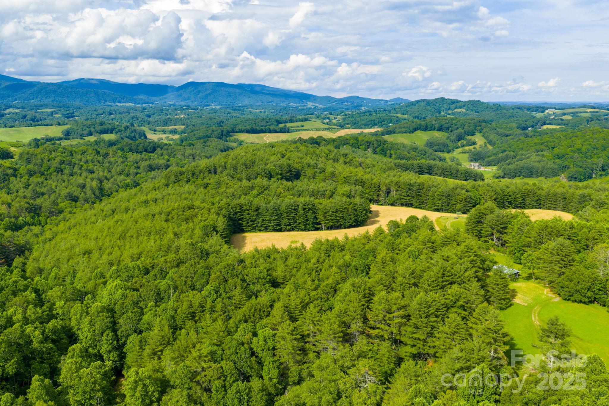 Tbd Phipps Dairy Road Property Photo 5