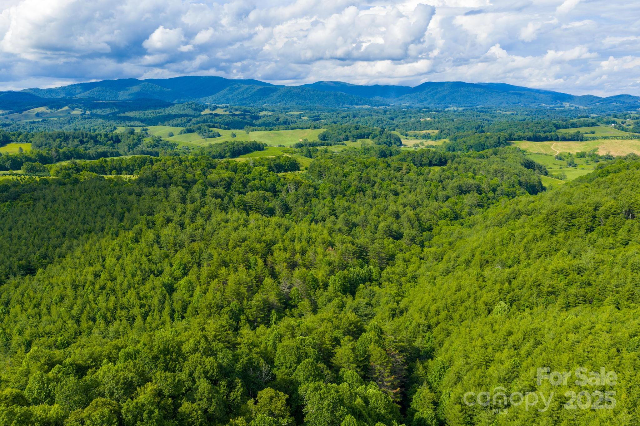 Tbd Phipps Dairy Road Property Photo 6