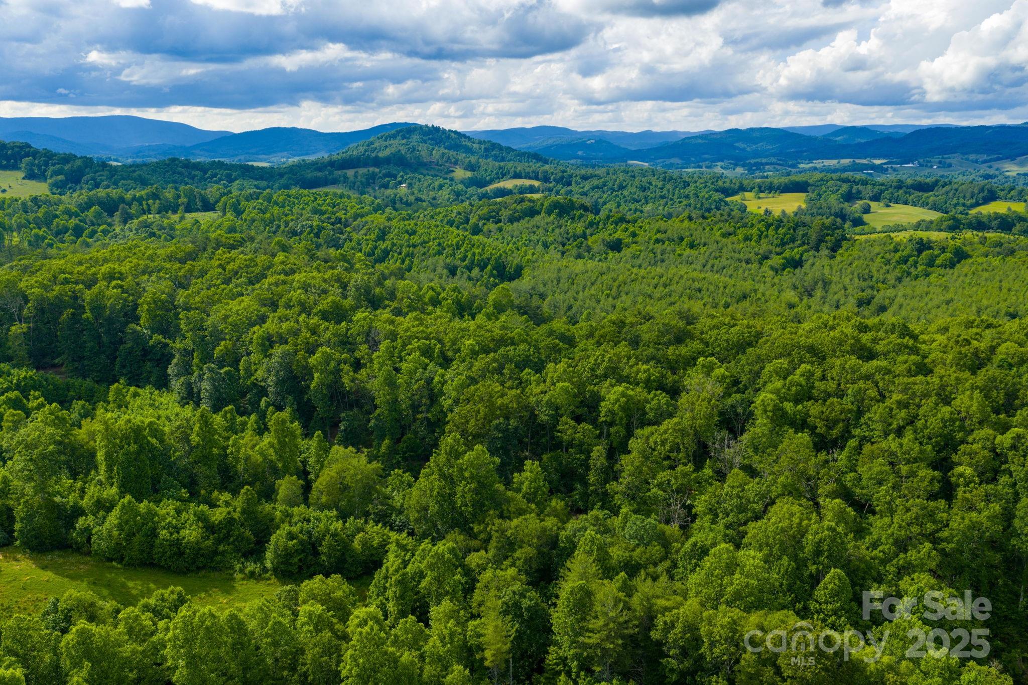 Tbd Phipps Dairy Road Property Photo 8