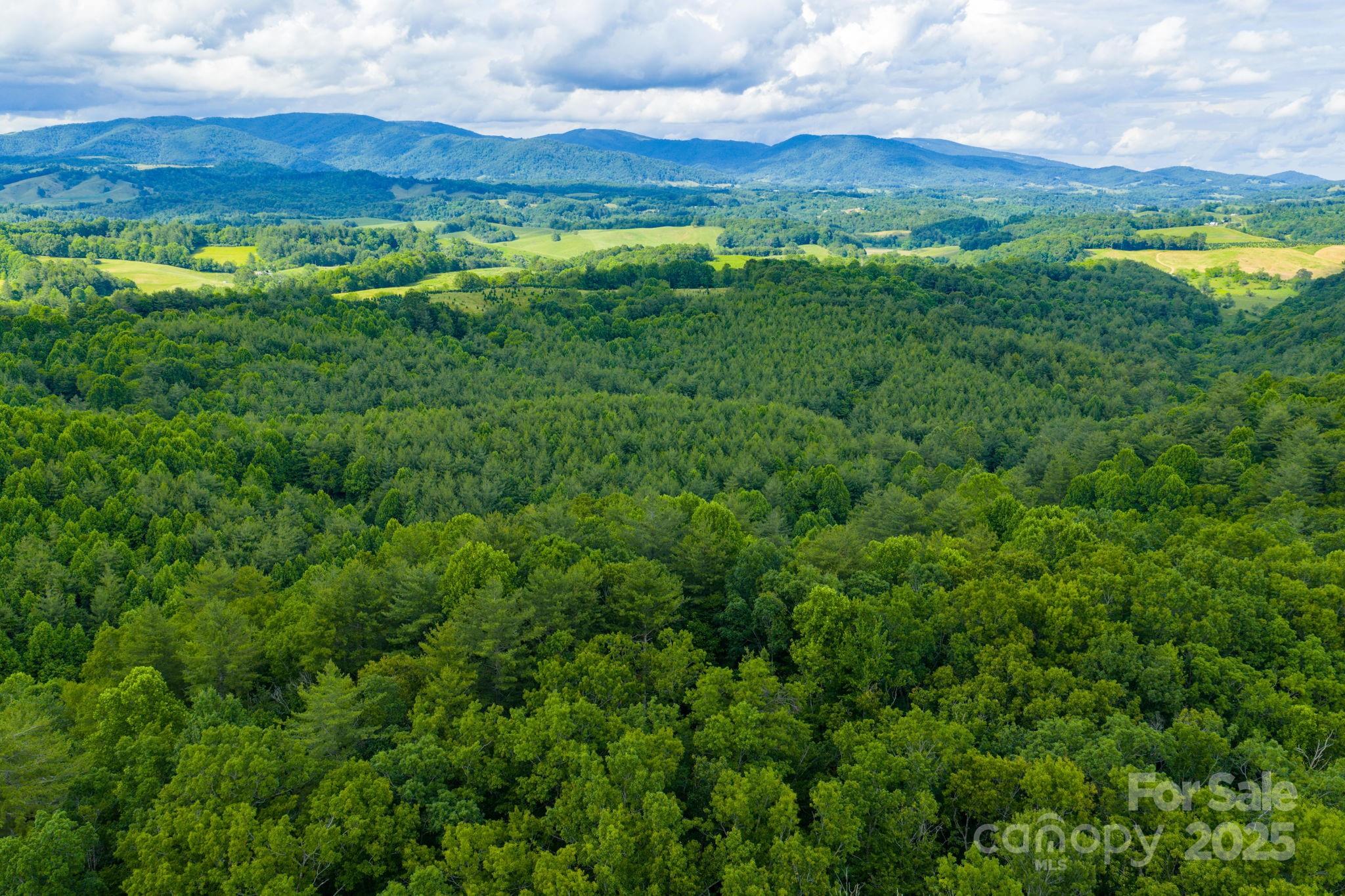 Tbd Phipps Dairy Road Property Photo 9
