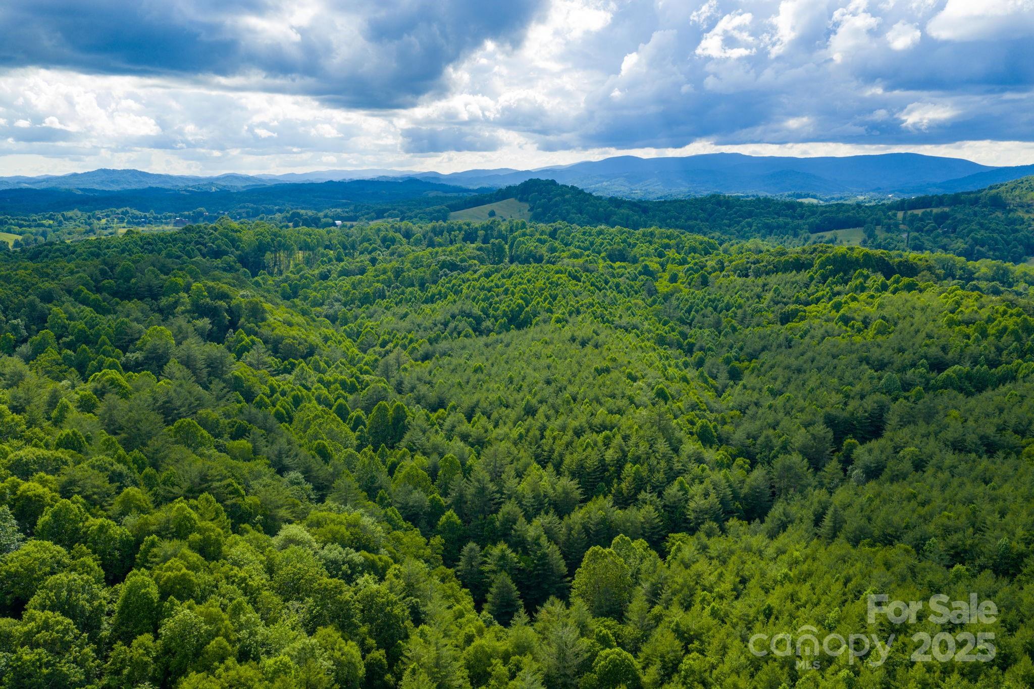 Tbd Phipps Dairy Road Property Photo 10