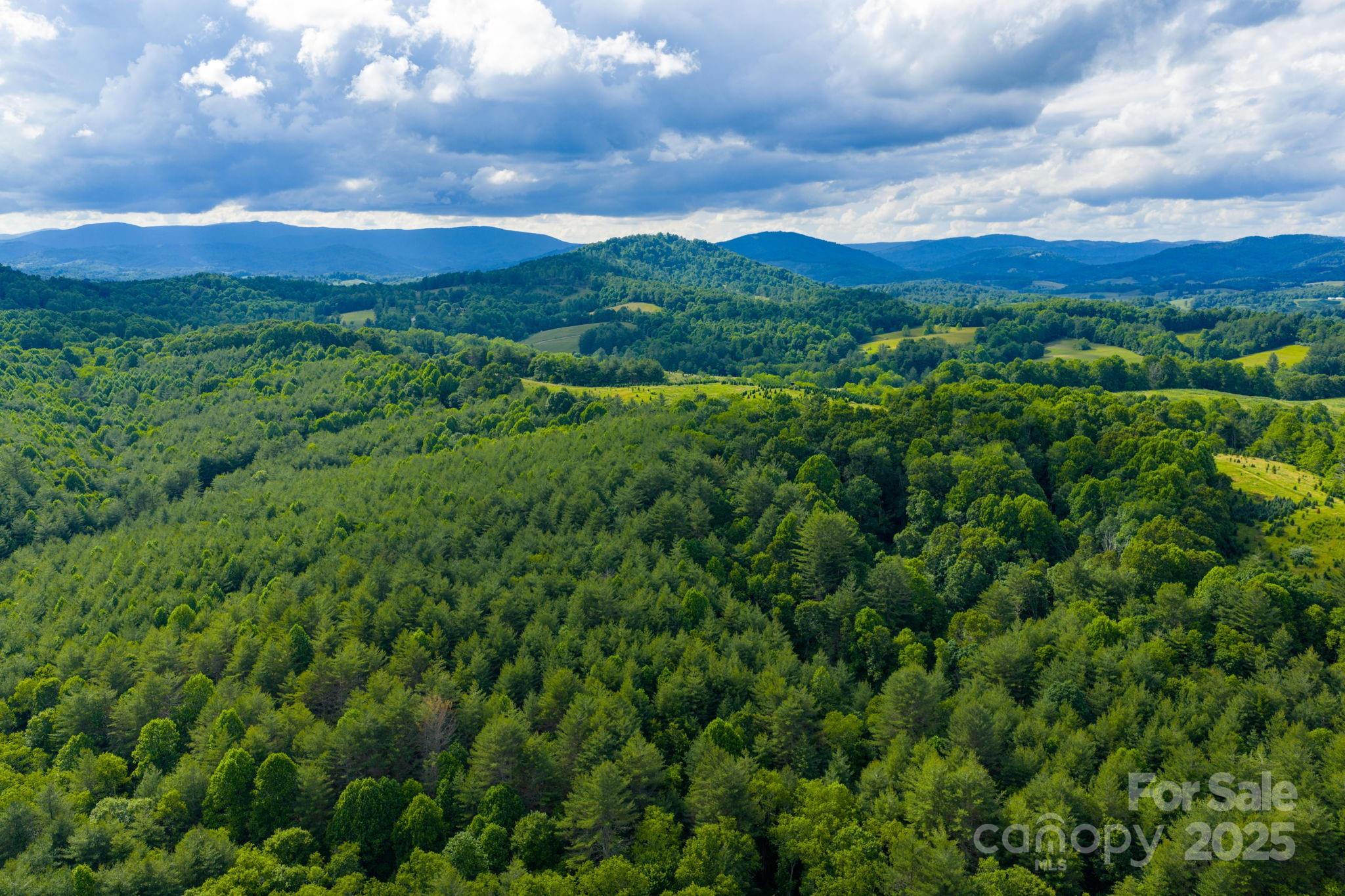 Tbd Phipps Dairy Road Property Photo 15
