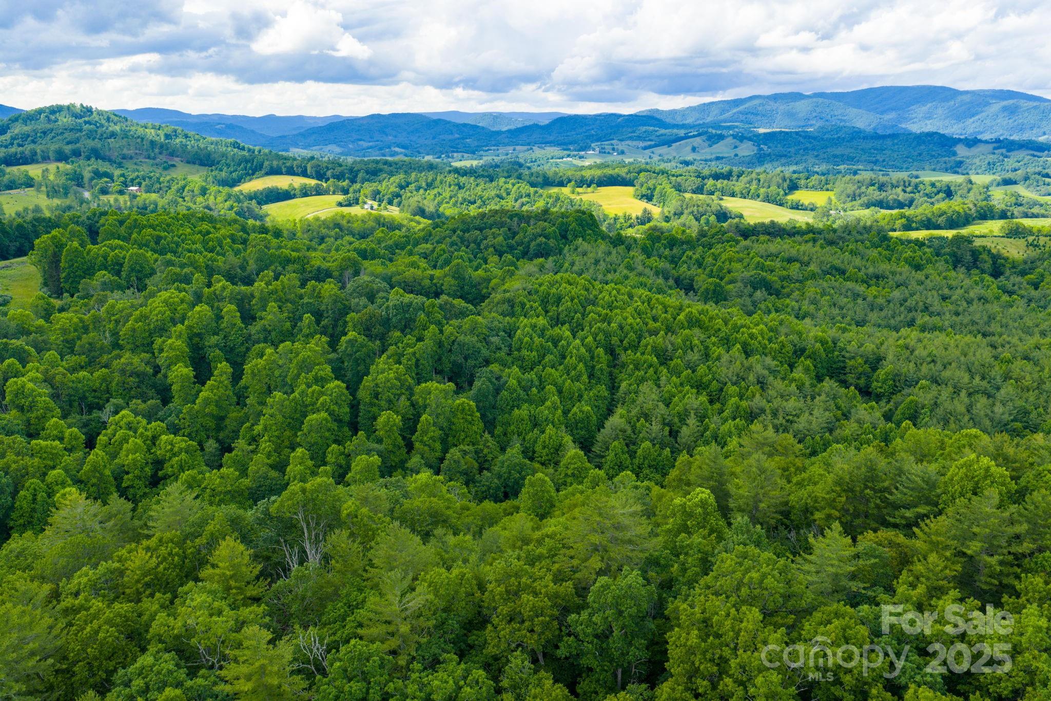 Tbd Phipps Dairy Road Property Photo 16