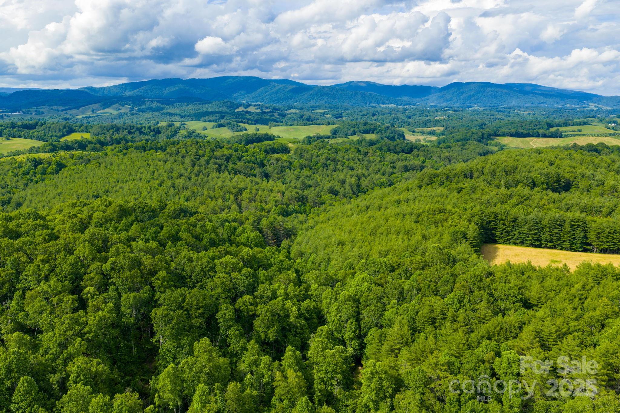 Tbd Phipps Dairy Road Property Photo 17