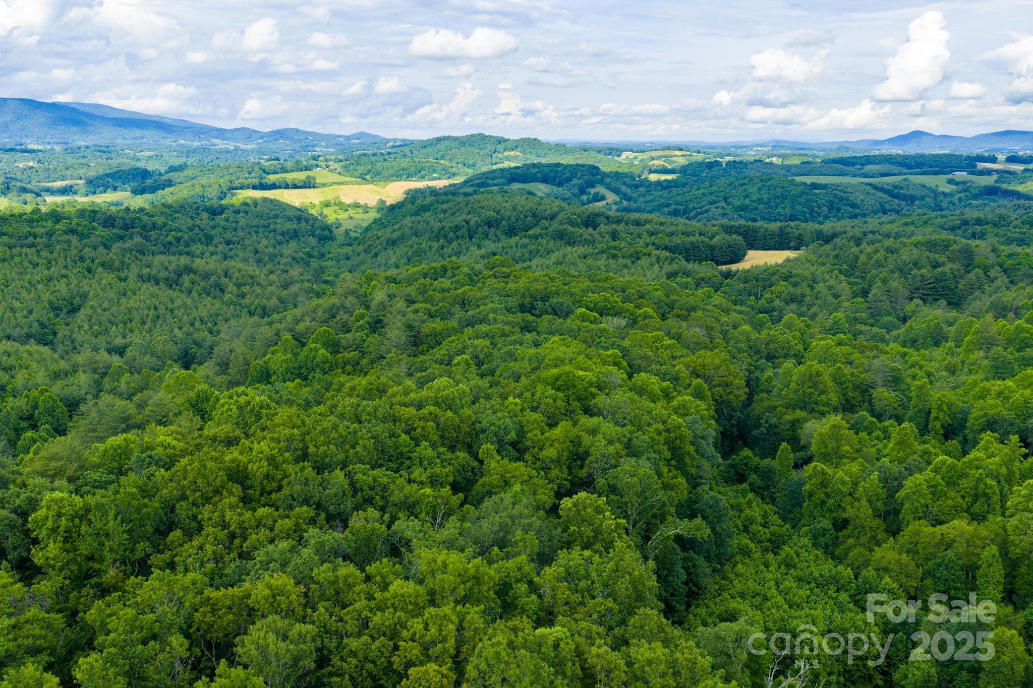 Tbd Phipps Dairy Road Property Photo 18