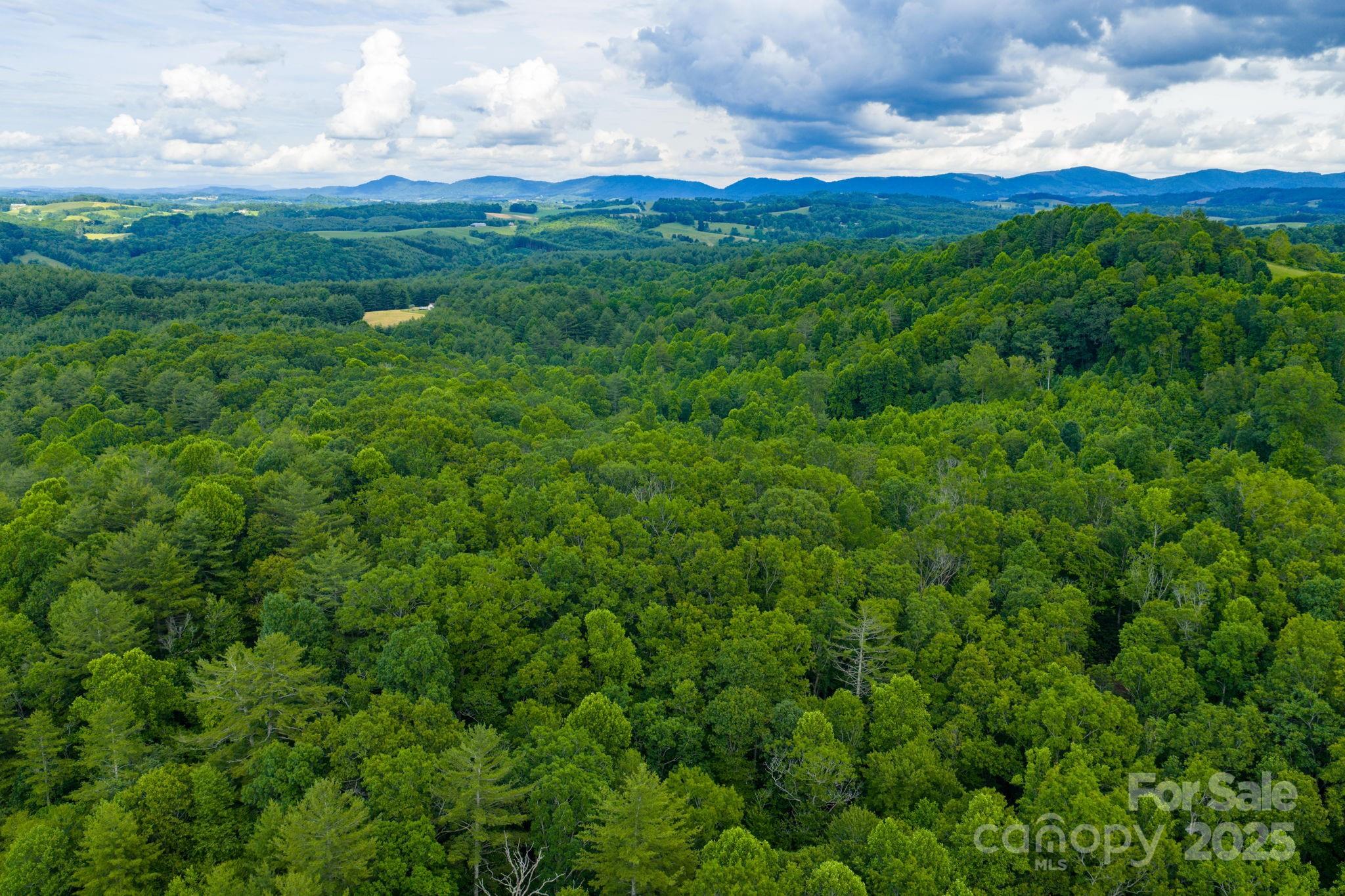 Tbd Phipps Dairy Road Property Photo 19