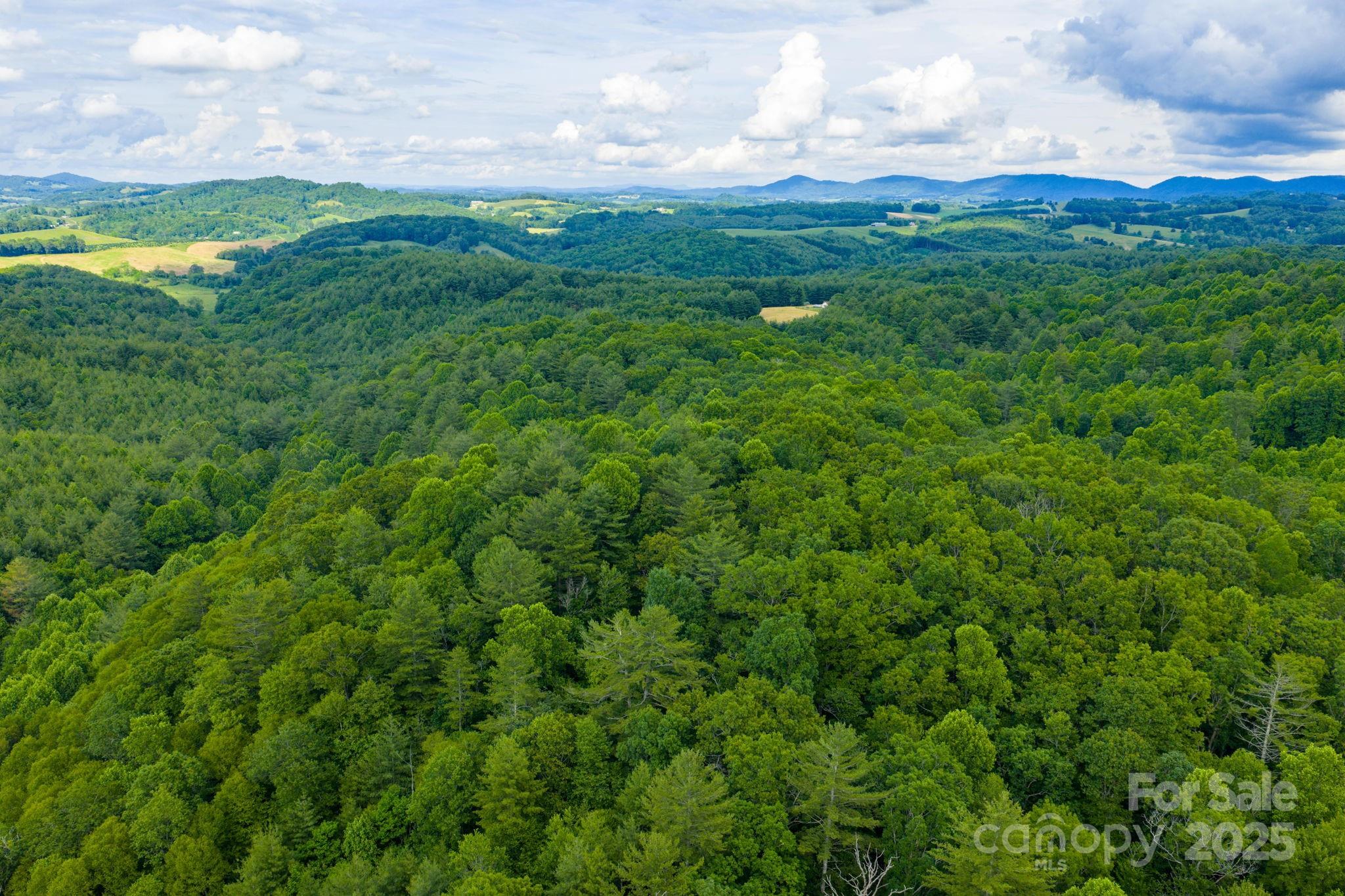 Tbd Phipps Dairy Road Property Photo 20
