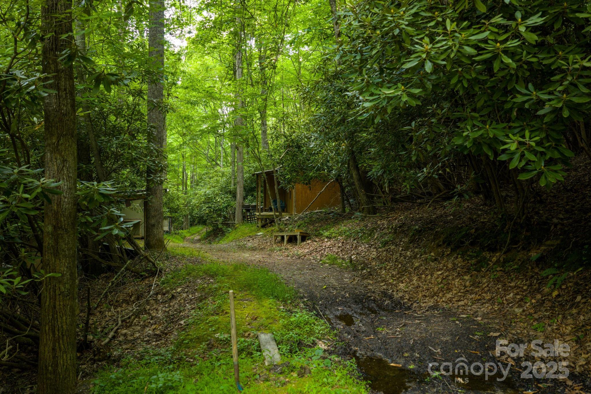 Tbd Phipps Dairy Road Property Photo 21
