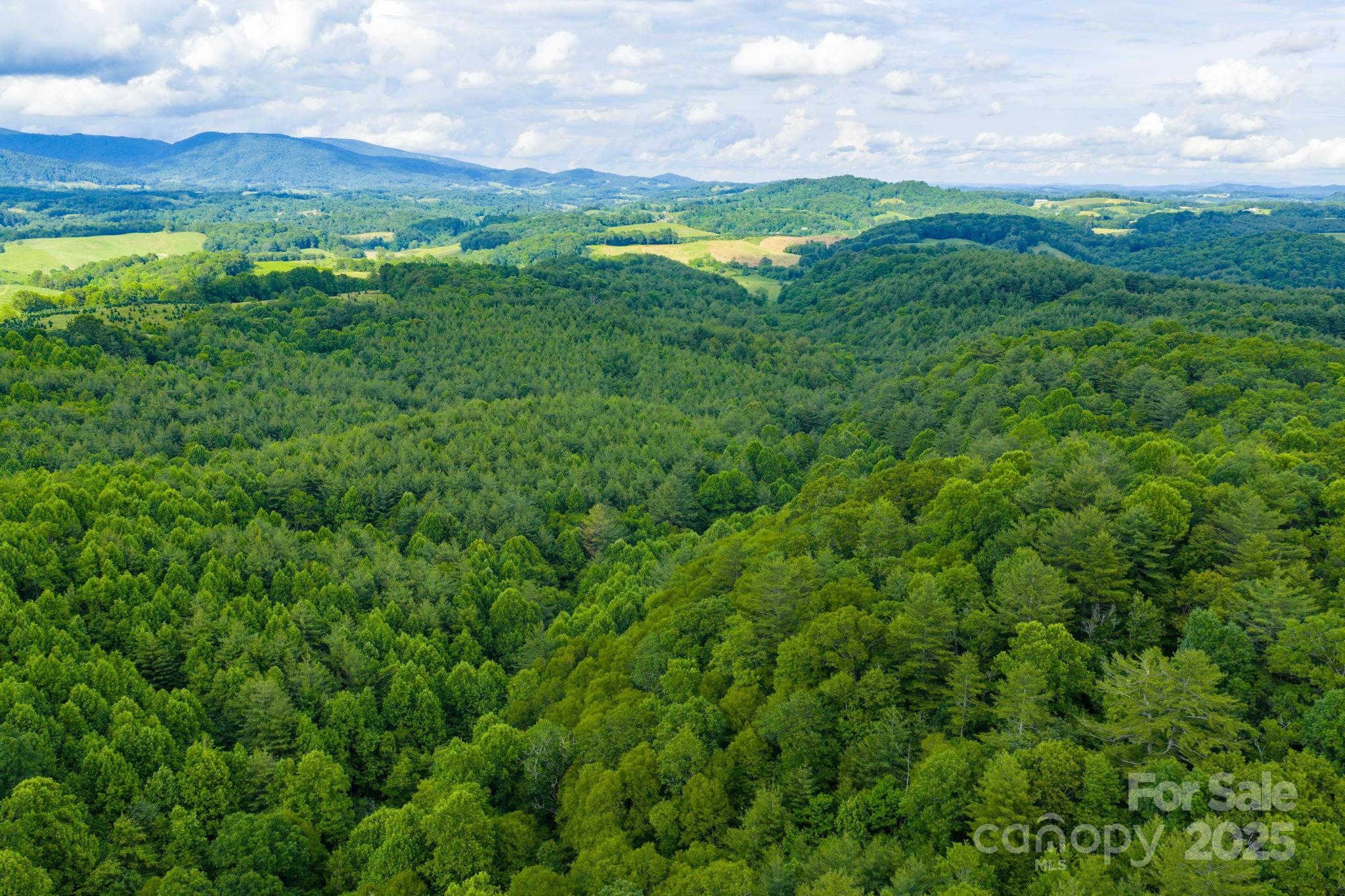 Tbd Phipps Dairy Road Property Photo 22
