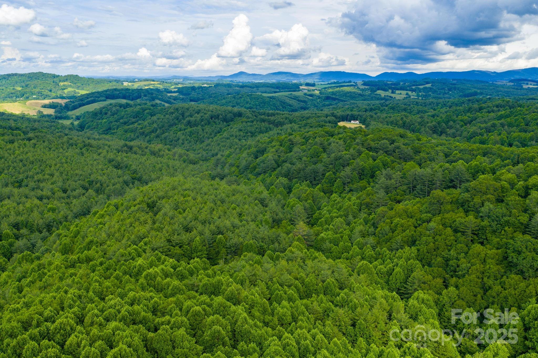 Tbd Phipps Dairy Road Property Photo 24