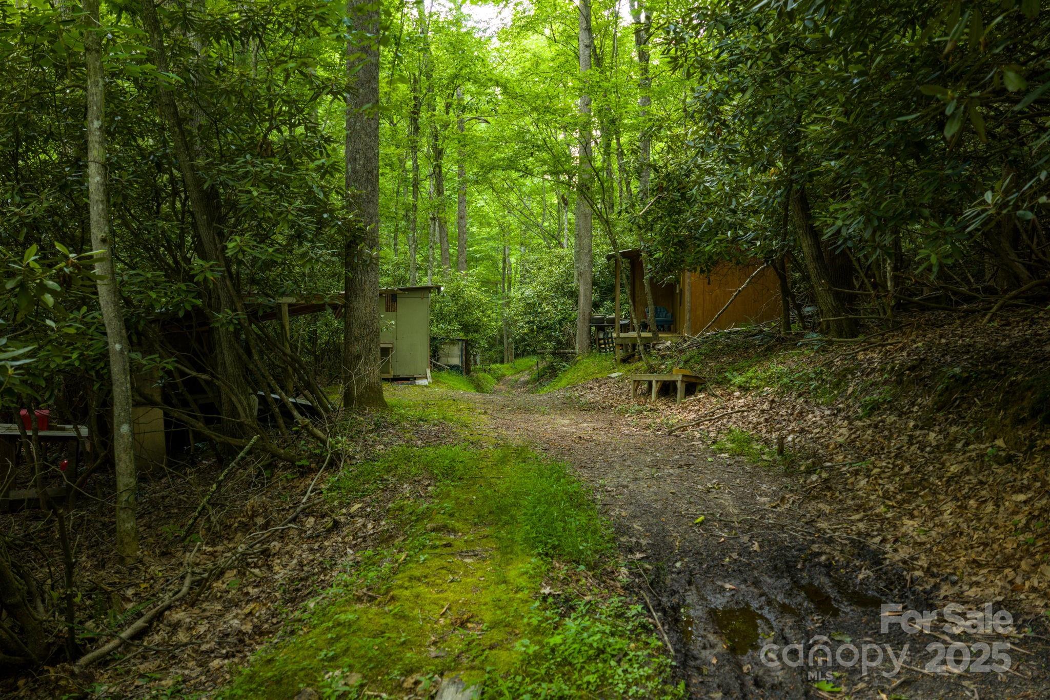 Tbd Phipps Dairy Road Property Photo 25
