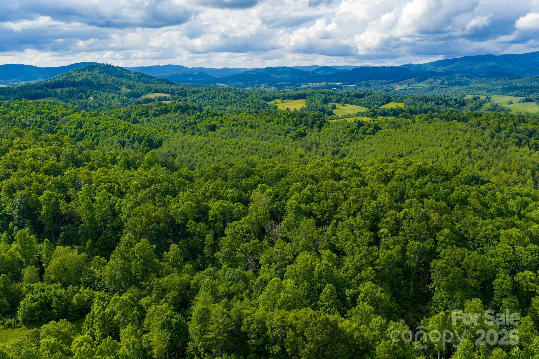 Tbd Phipps Dairy Road Property Photo 26