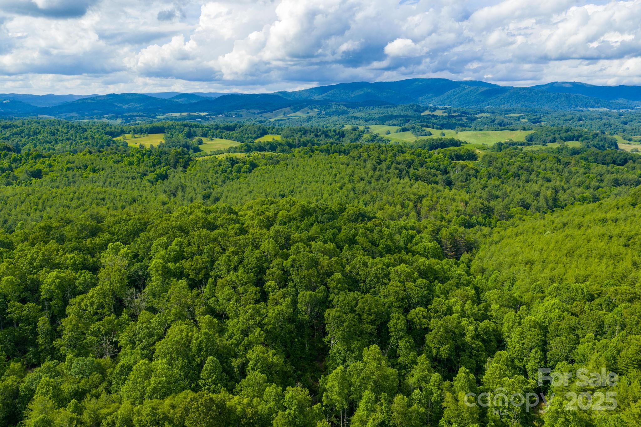 Tbd Phipps Dairy Road Property Photo 28