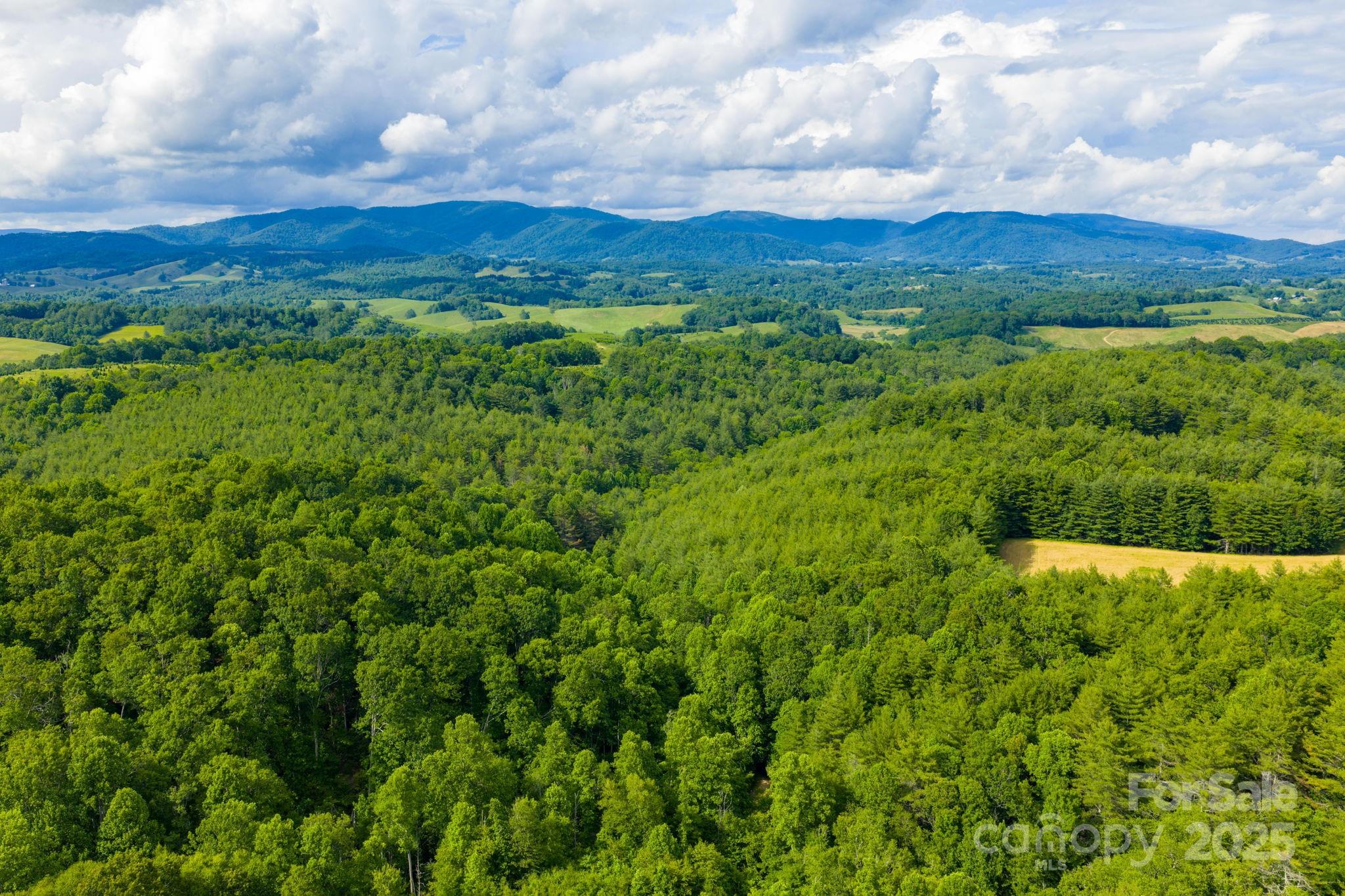 Tbd Phipps Dairy Road Property Photo 29